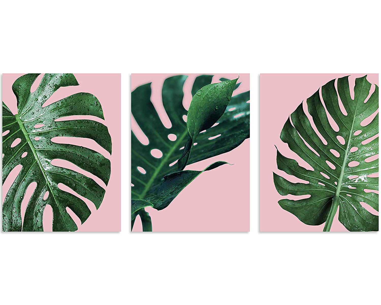 Tutubeer Plant Wall Art Plant Tropical Leaves And Water At Pink Background Tropical Wall Decor Green Plant Art 12'' X 16'' X 3 P