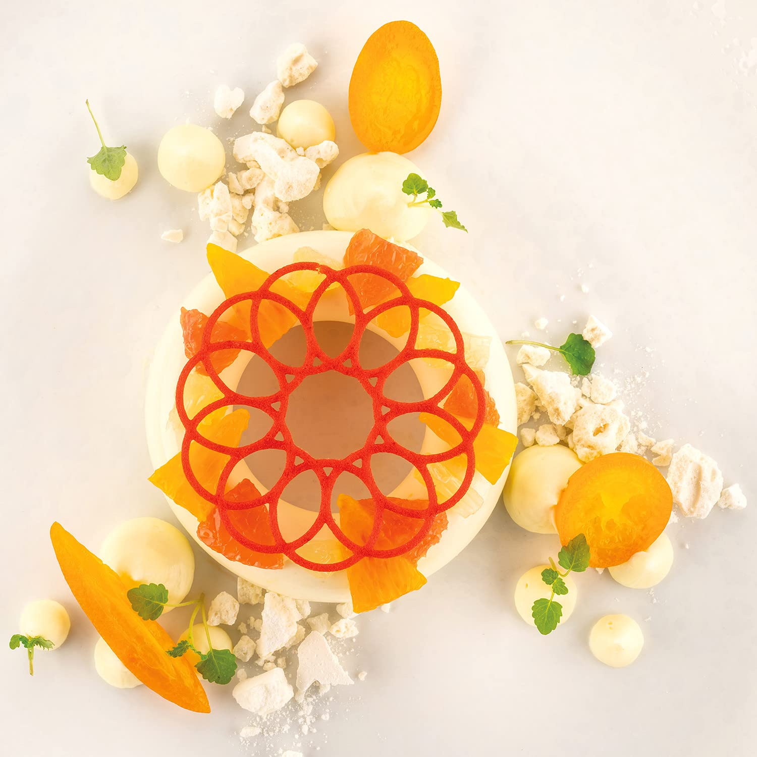 Silikomart Corona Silicone Mold With 9 Medallion Imprints + 9 Round Leaf-Garland Imprints