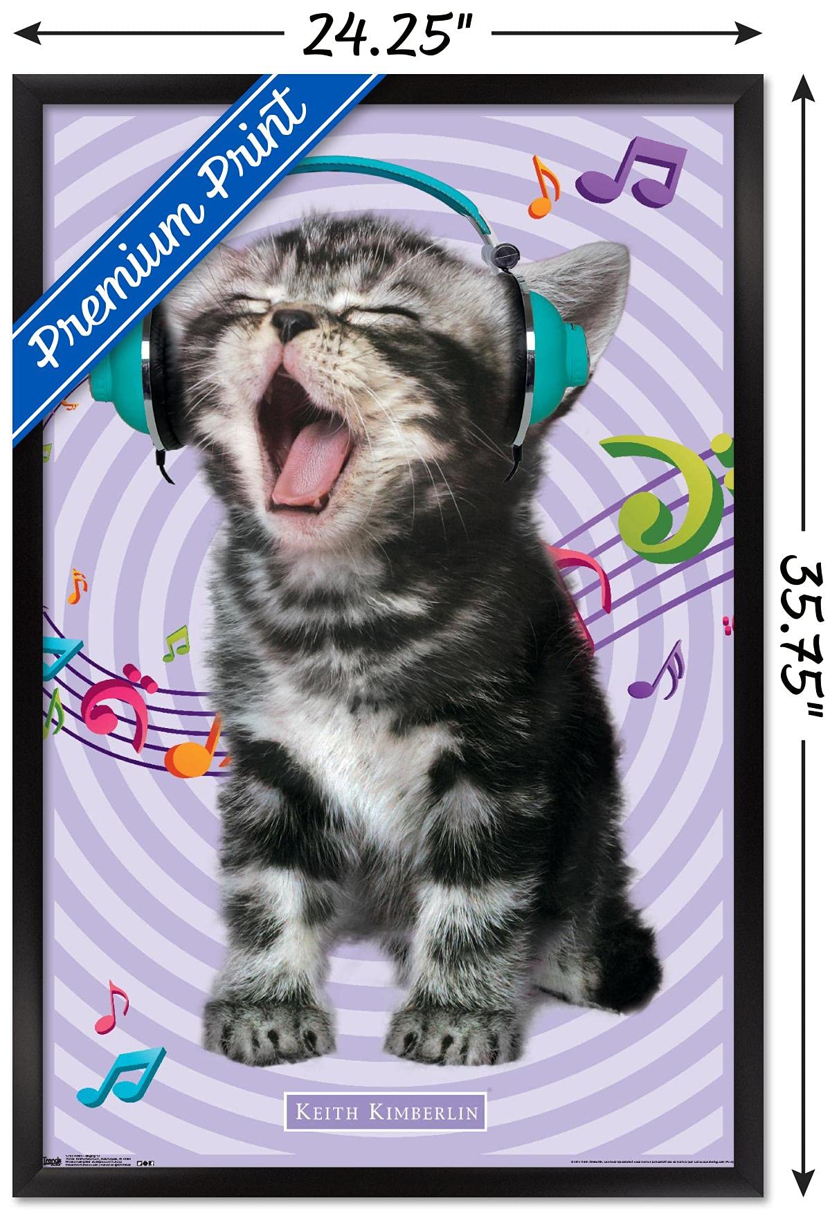 Trends International Keith Kimberlin - Kitten - Singing Wall Poster, 22.375'' X 34'', Black Framed Version