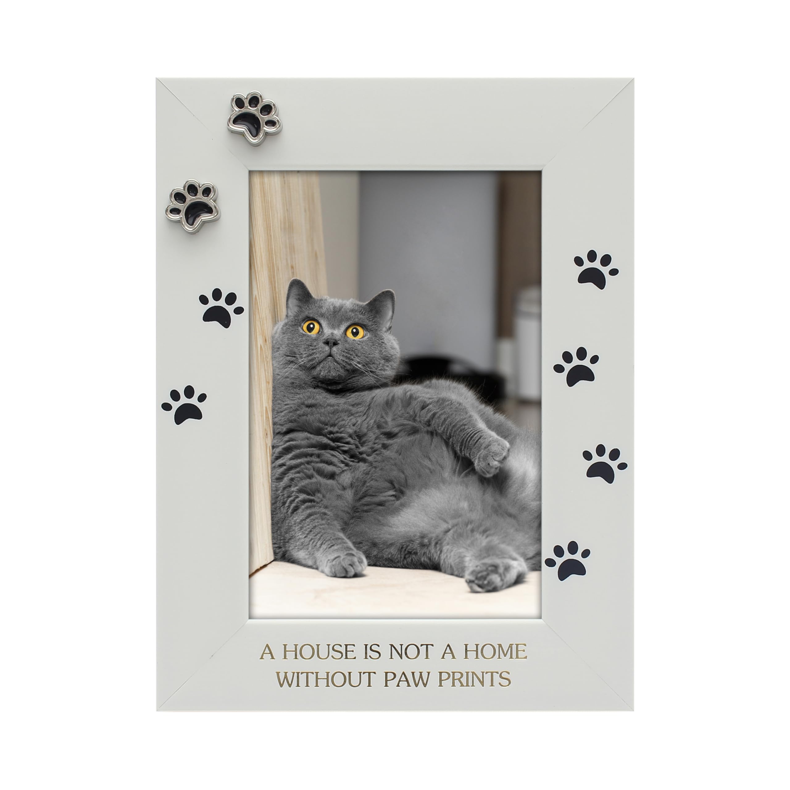 MIMOSA MOMENTS Pale White Picture Frame for Pet with Paw Prints and Says A Home is  4x6 photo (A House Is Not A Home Without Paw