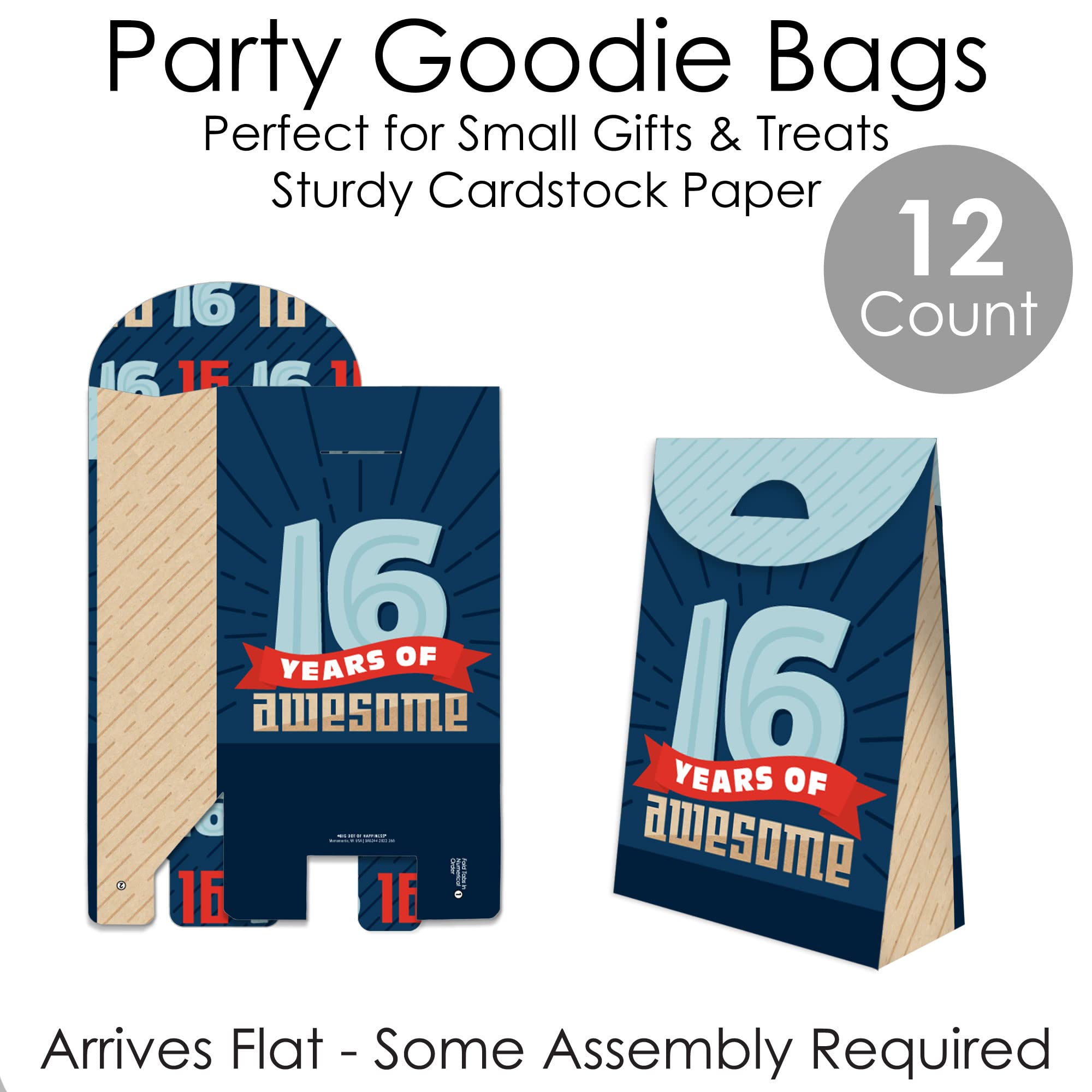 Big Dot Of Happiness Boy 16Th Birthday - Sweet Sixteen Birthday Gift Favor Bag - Party Goodie Boxes - Set Of 12