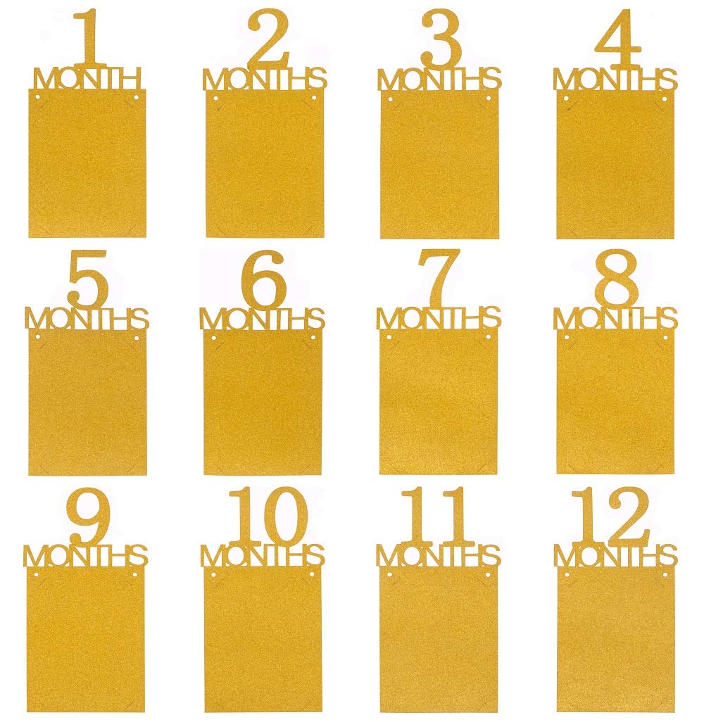 1St Birthday Baby Photo Banner ,Gold Glitter Growth Record 1 To12 Month Photo Prop ,Monthly Milestone Photograph Bunting Garland