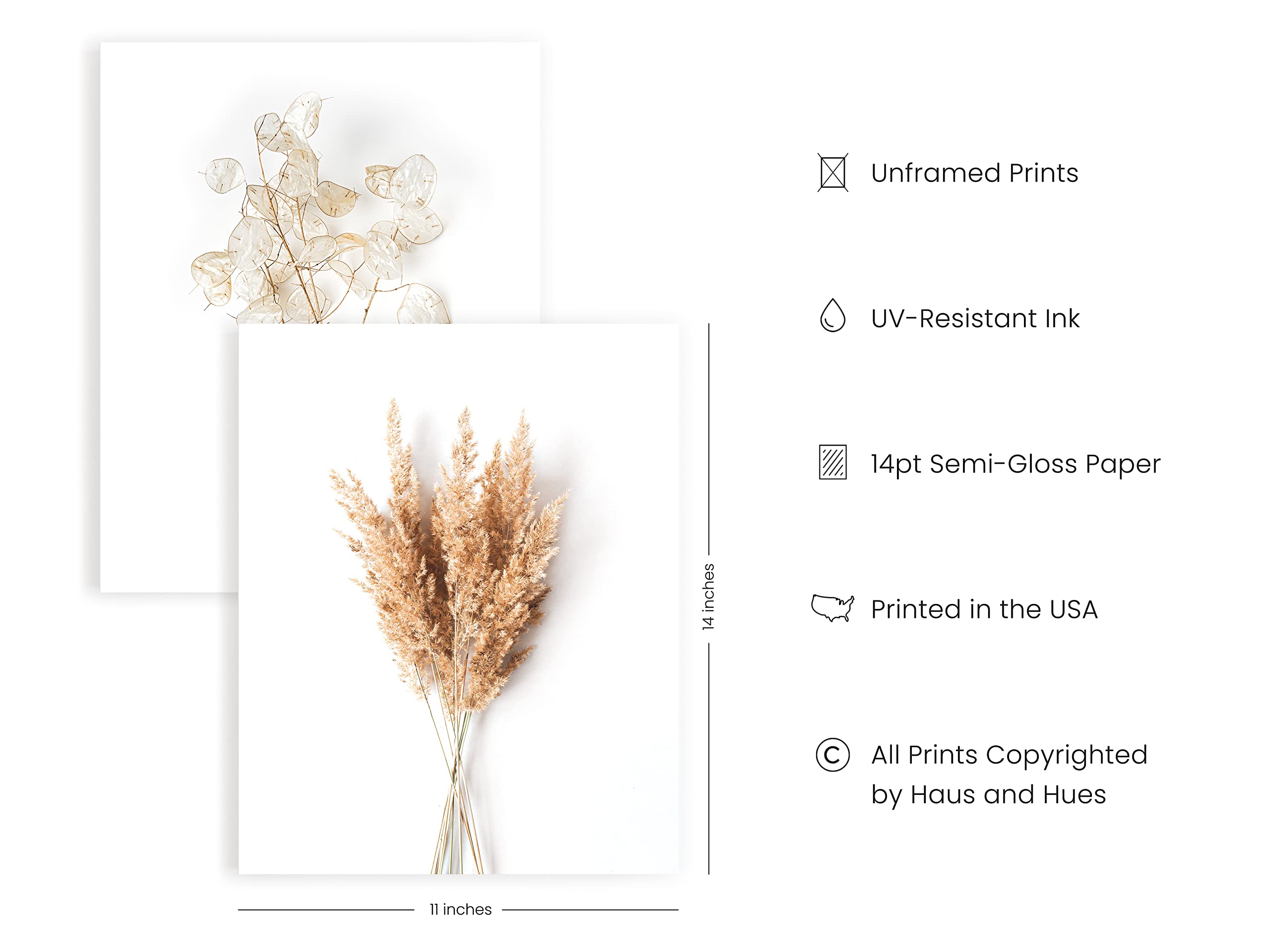 Haus And Hues Brown Plant Set Of 4-11X14