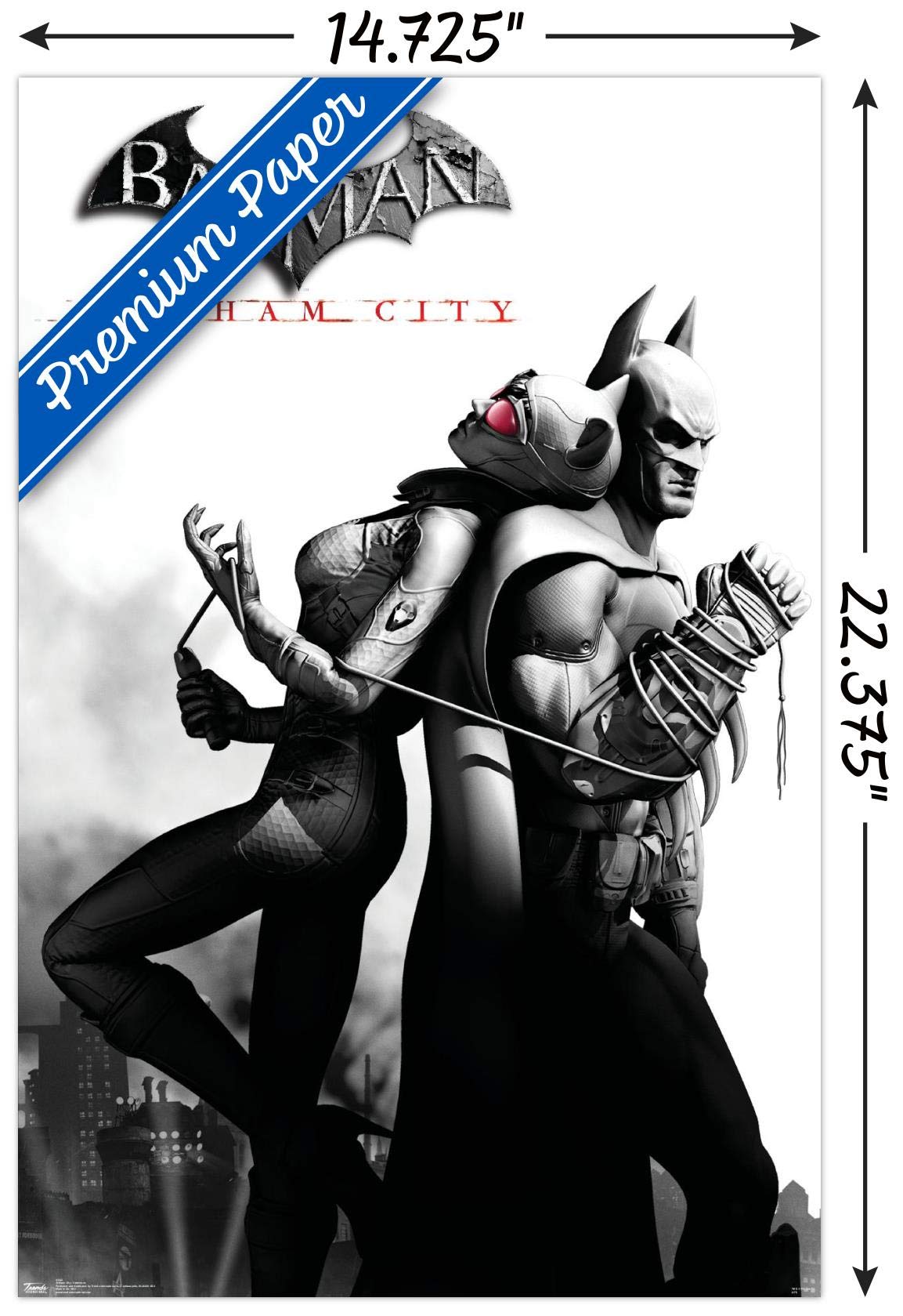 Trends International Dc Comics Video Game - Arkham City - Catwoman Wall Poster, 14.725'' X 22.375'', Premium Unframed Version