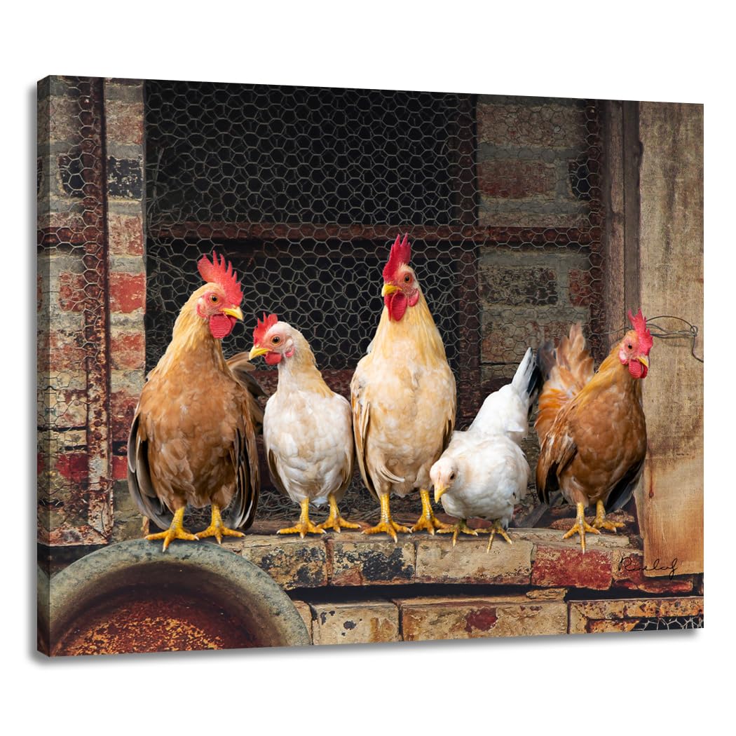 Woxfcart Kitchen Wall Art Chicken Decor - Farm Animal Rooster Pictures On Canvas Prints For Rustic Farmhouse Dining Room Walls D