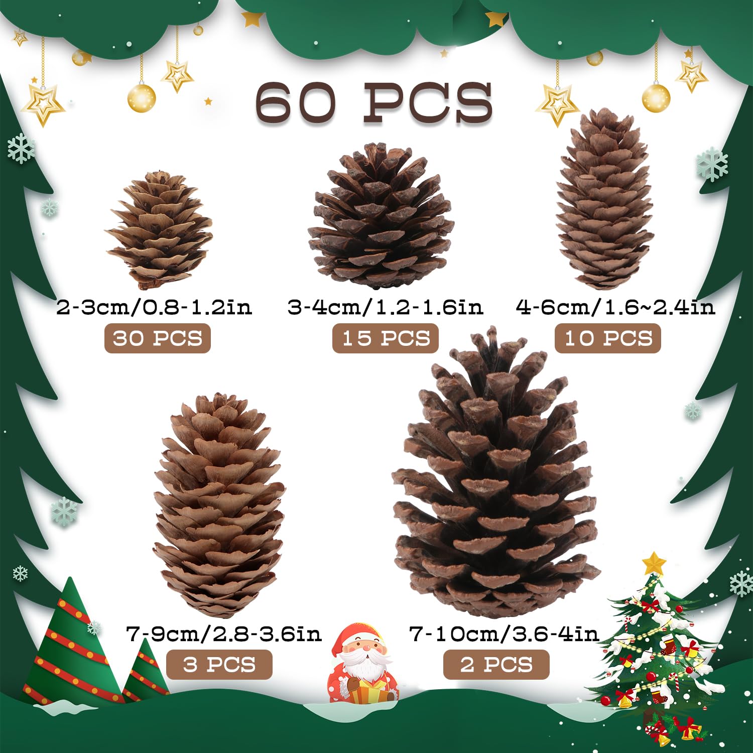 Jangostor 60 Pine Cones Decorations - Natural Bulk Package, Large Medium & Mini Sizes - Rustic Pine Cone Ornaments for Table, Ch