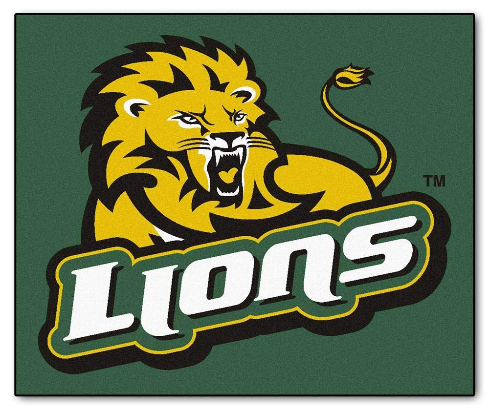 Southeastern Louisiana Tailgater Rug 5x6
