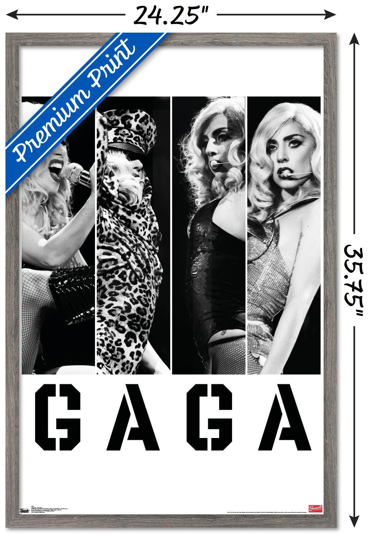 Trends International Lady Gaga - Photo Bars Wall Poster, 22.375'' X 34'', Barnwood Framed Version