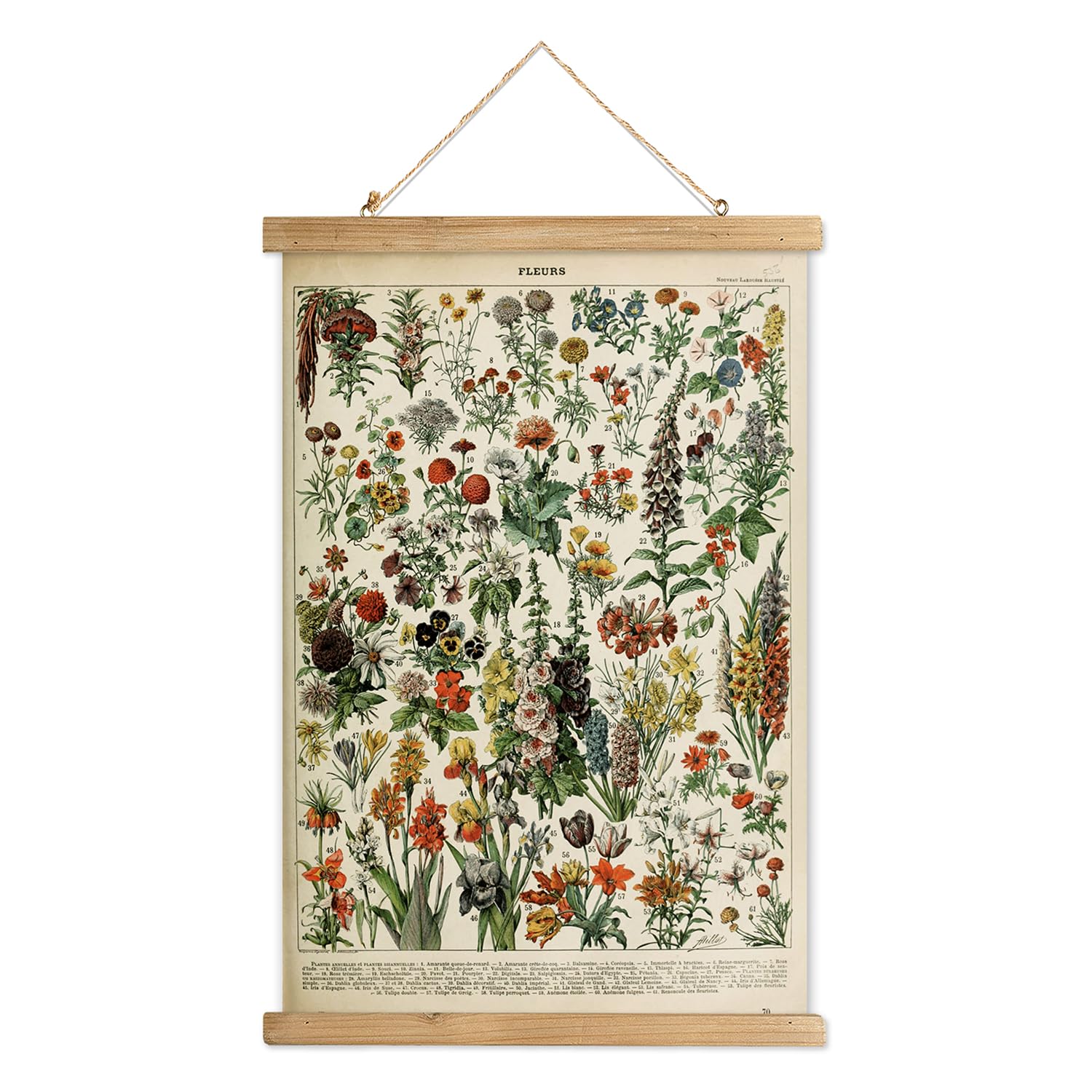 Xiaoaika Vintage Wildflower Hanging Poster With Wooden Frame, Retro Style Wall Decor Detailed Floral Illustration- Educational B