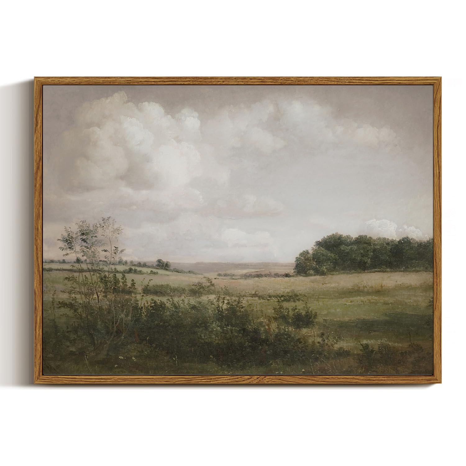 Viyyiea Nature Framed Wall Art, Wilderness Vintage Art Decor Room Aesthetic, 12X16 Inch Canvas Print Art, Farmhouse Landscape Pa