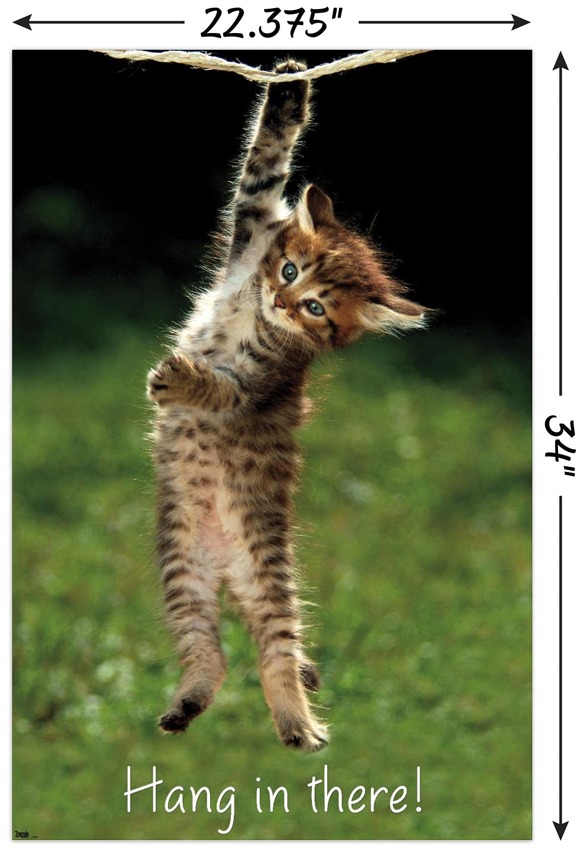 Trends International Kitten Hang In There Wall Poster 22.375'' X 34'' Bedroom