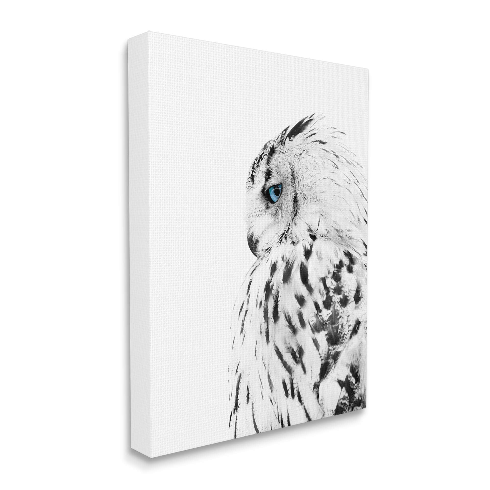 Stupell Industries Snow Owl White Feathers Peering Blue Eyes, Design By Design Fabrikken