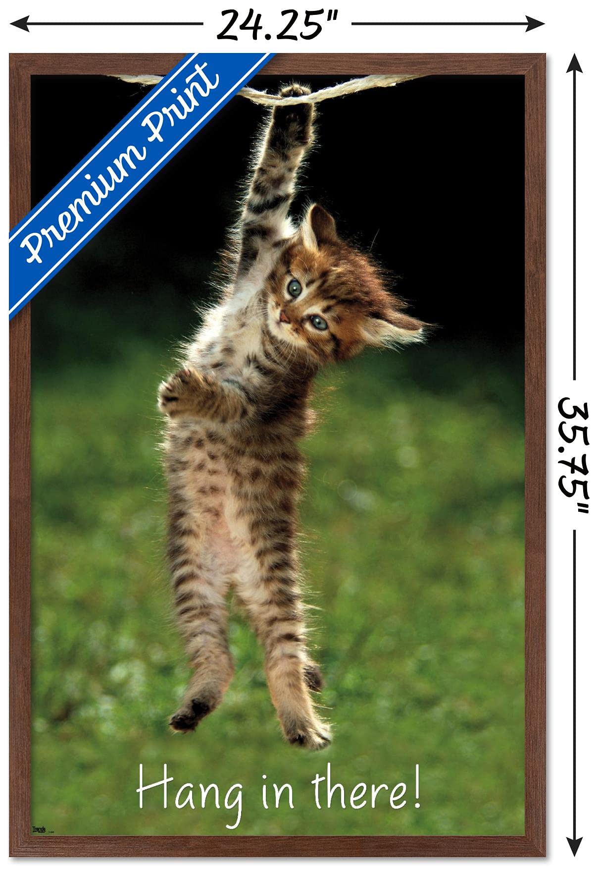 Trends International Famous Kitten Hang In There Poster Wall Poster, 22.37'' X 34.00'', Mahogany Framed Version