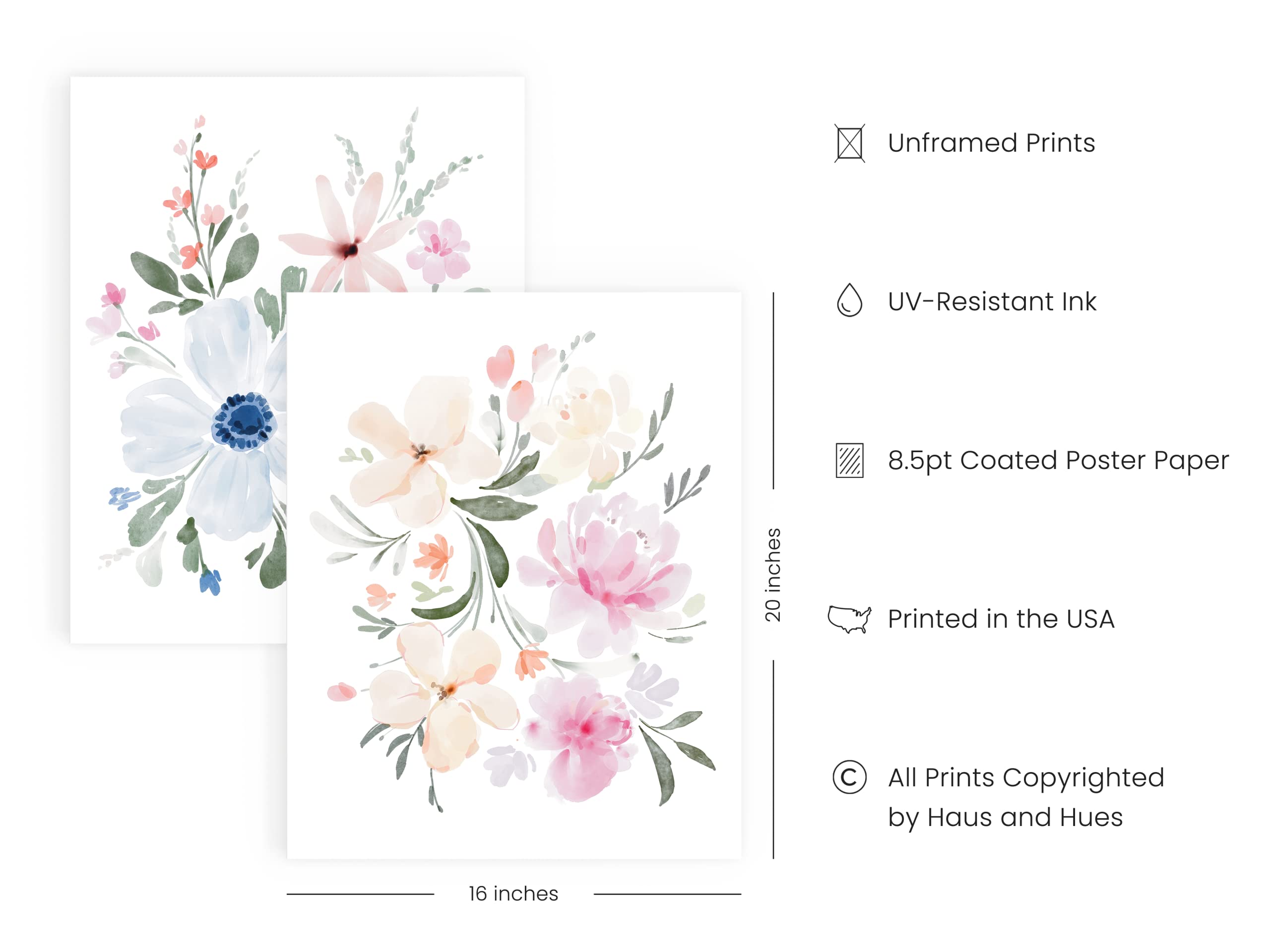 HAUS AND HUES Botanical Prints - Set of 4 Flower Poster Flower Pictures Wall Decor  Floral Prints Wall Flower Pictures  Flowers Posters Flower Prints Floral Botanical Prints (16x20  Unframed)