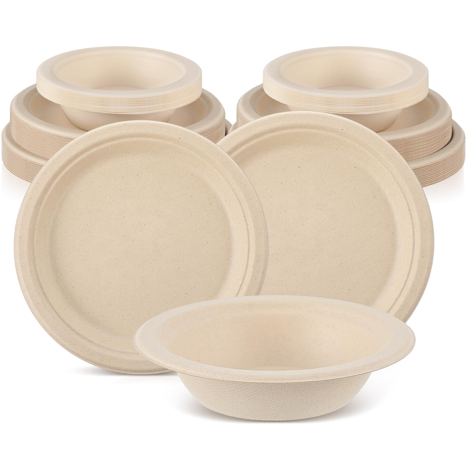 Havawish 75 Pcs Compostable Paper Plates and Bowls Set 9 Inch 10 Inch Disposable Plate 16oz Biodegradable Bowls for 25 Guests Pa