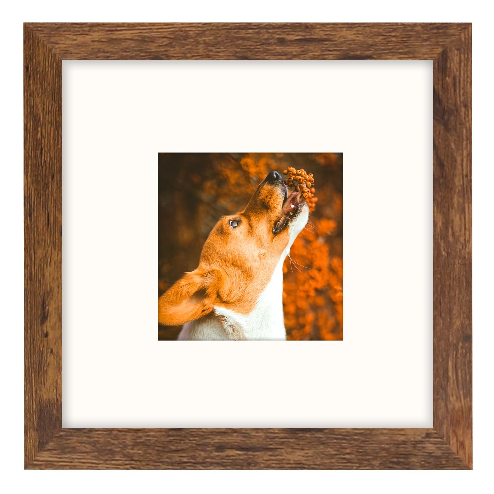 SNXJWA Brown 5x7 Picture Frame with Mat for 4x6 Display, Rustic Desk Wall Photo Frame for Horizontal and Vertical, 1 Pack