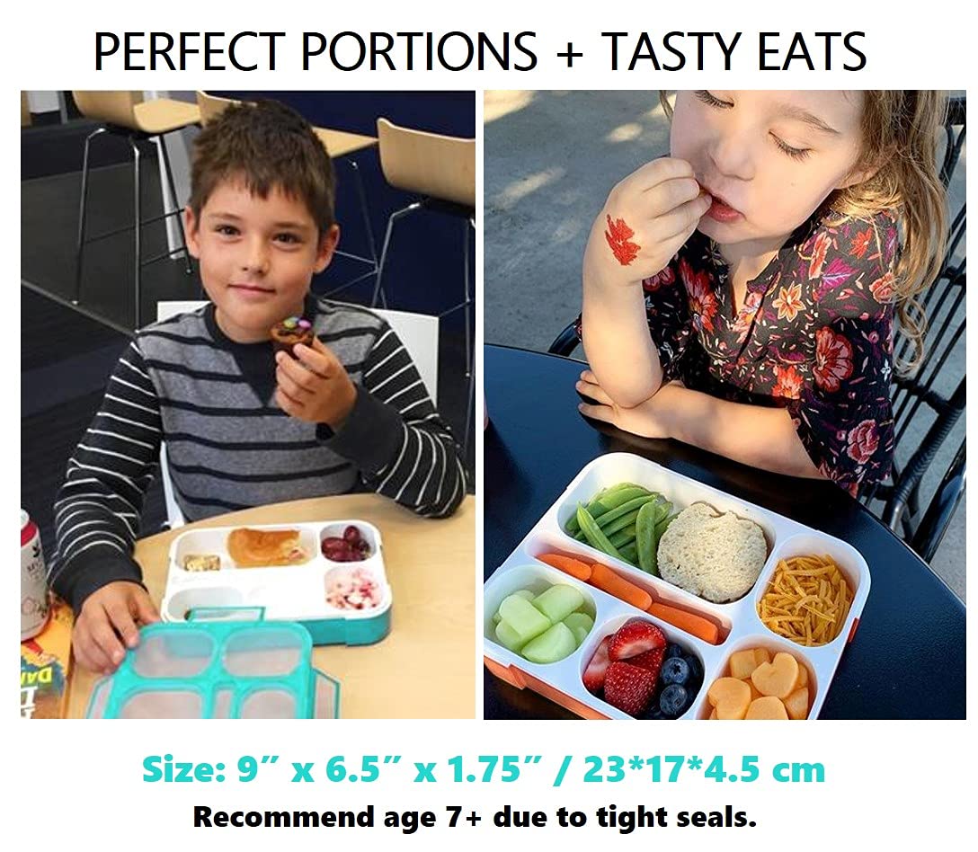 kinsho Bento Box Lunch-Box Containers for Kids  Adults  6 Compartment Lunch-Boxes  Leakproof School Bentobox  Snack or Meal Portion Container  BPA-Free  Teal