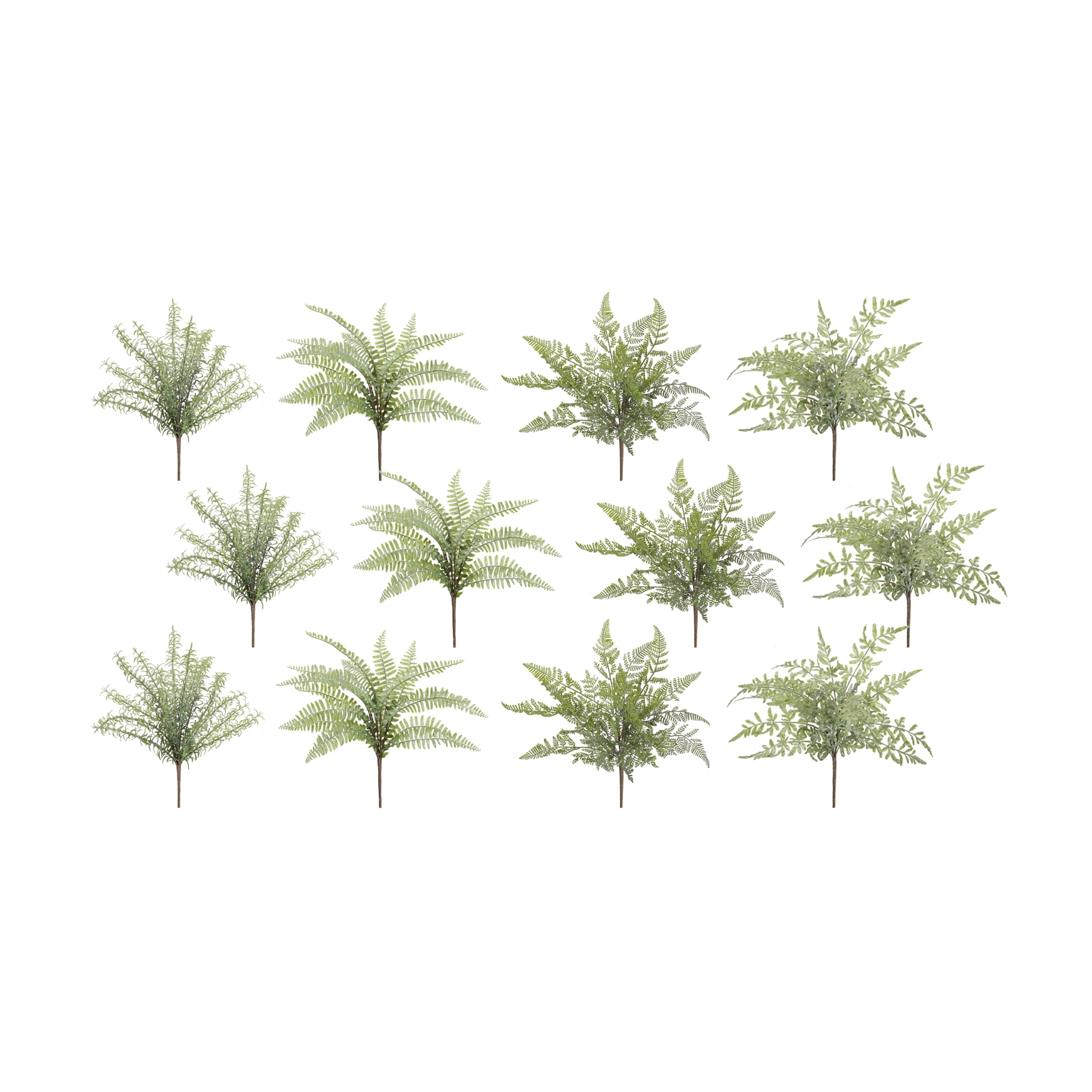 Fern Bush (Set of 12)
