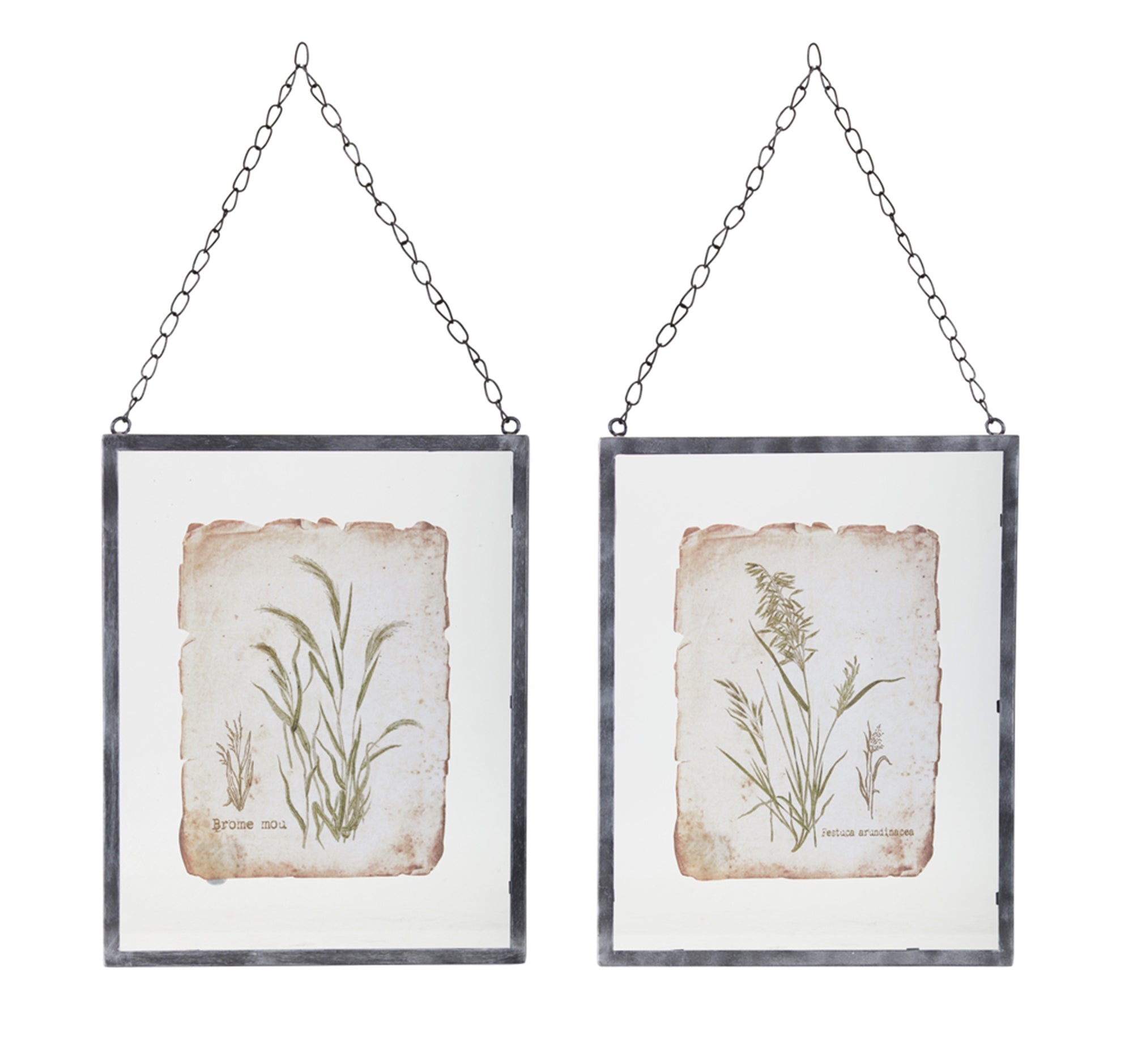 Framed Grass Hanging Frame (Set Of 2)