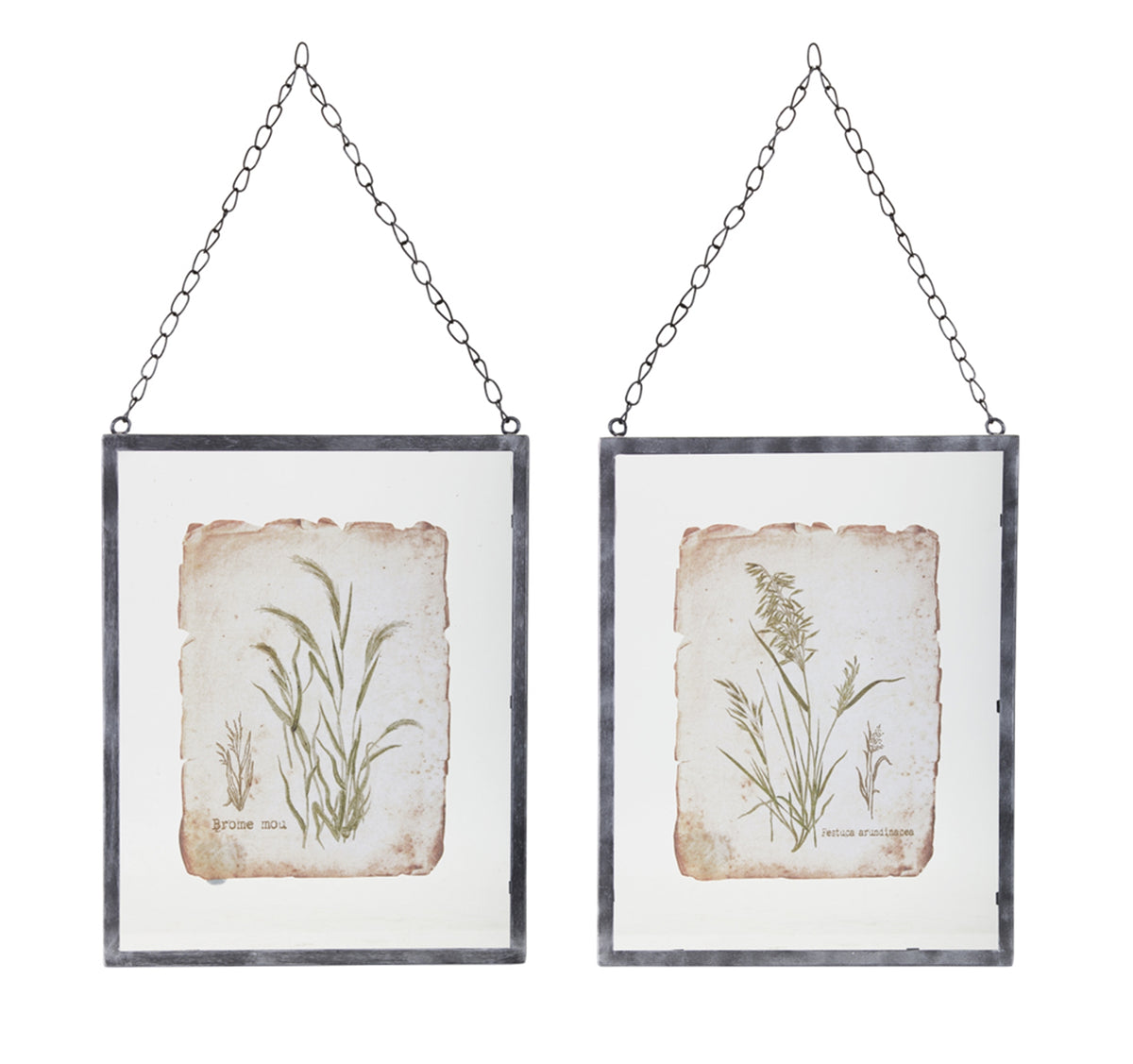 Framed Grass Hanging Frame (Set Of 2)