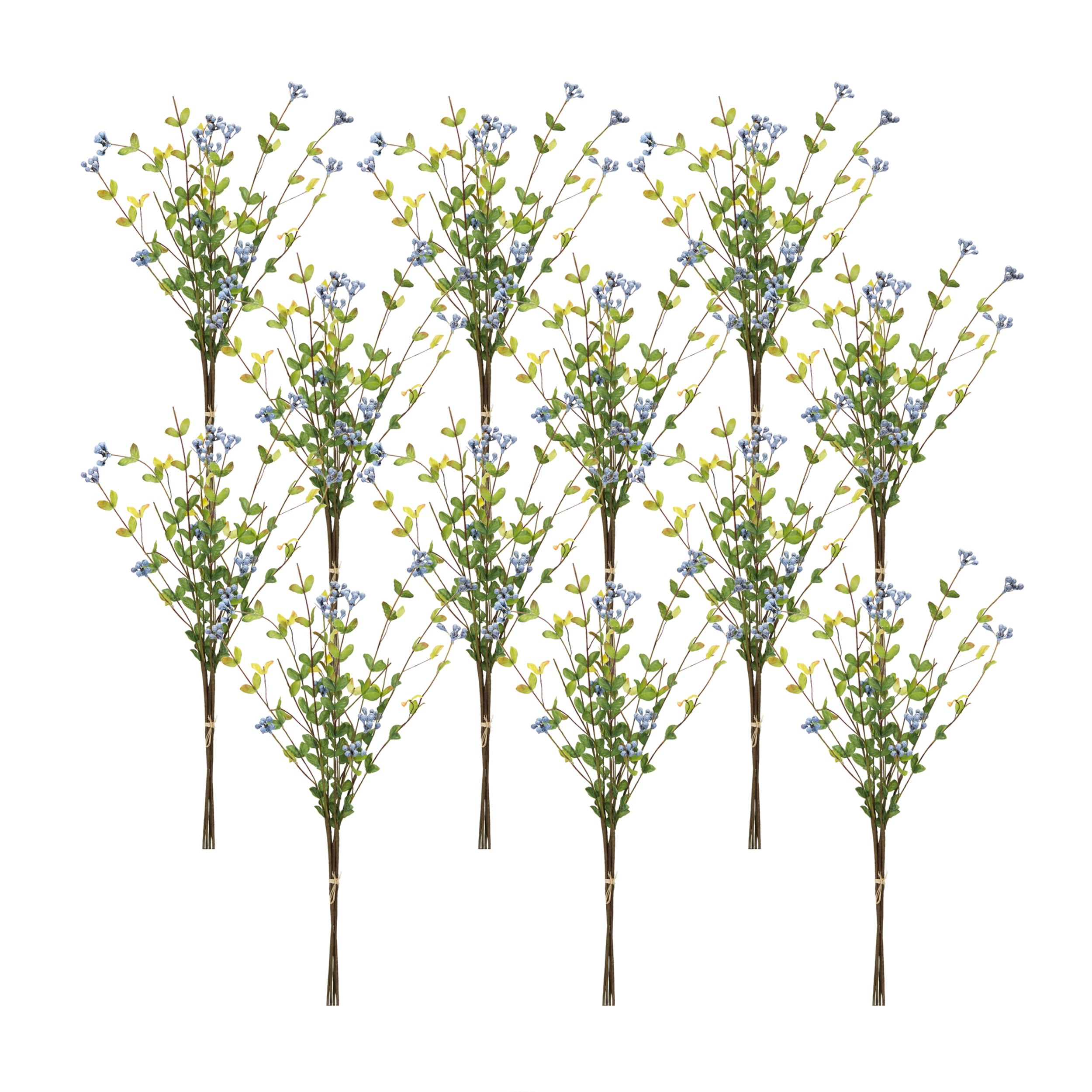 Berry Bundle (Set of 12)