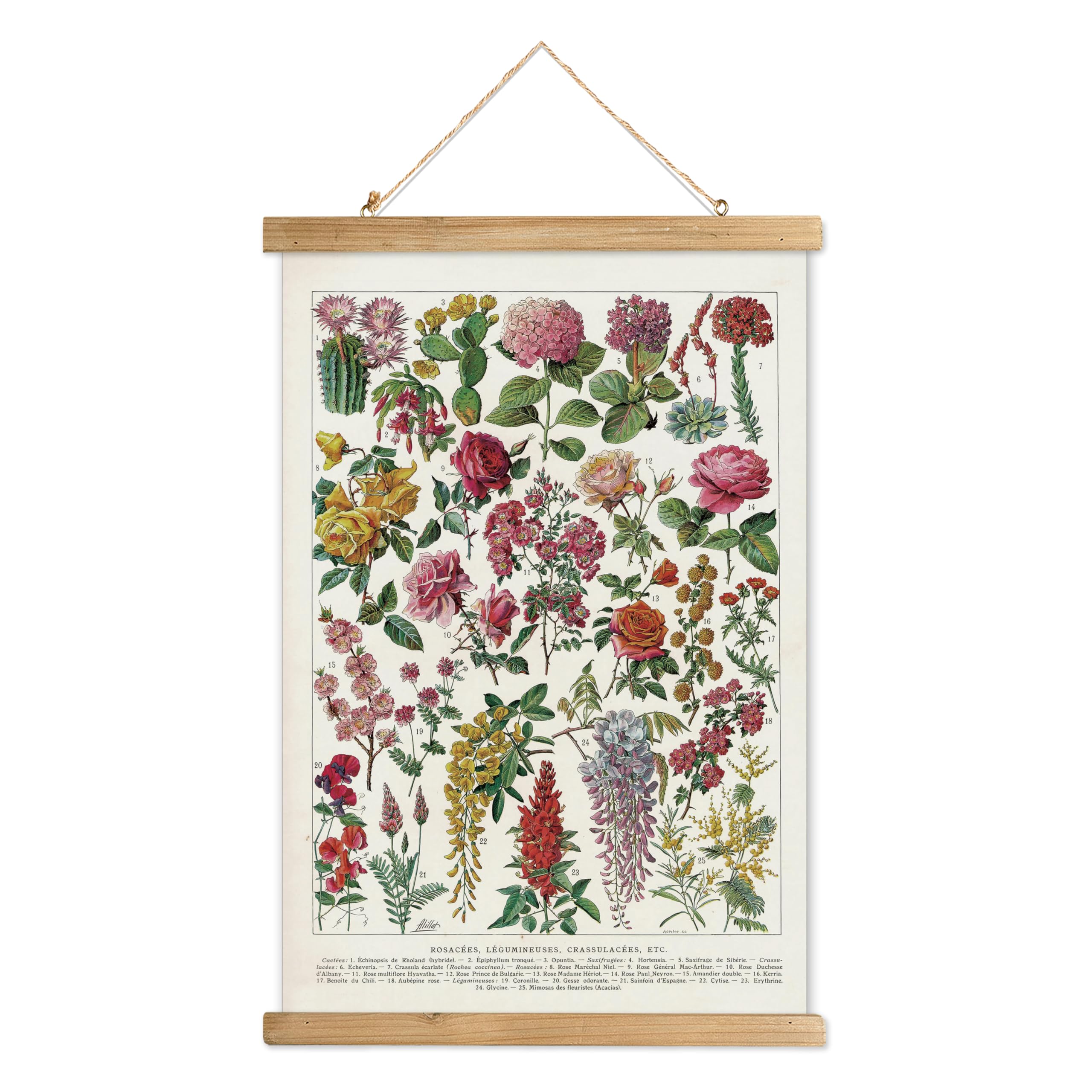 XIAOAIKA Vintage Wildflowers Poster Hanger Frame  Retro Style Wall Decor Art Painting  Patterns are Printed on Linen Without Fading  Scrolls Made of Fir are Durable (16 x 23 inches)