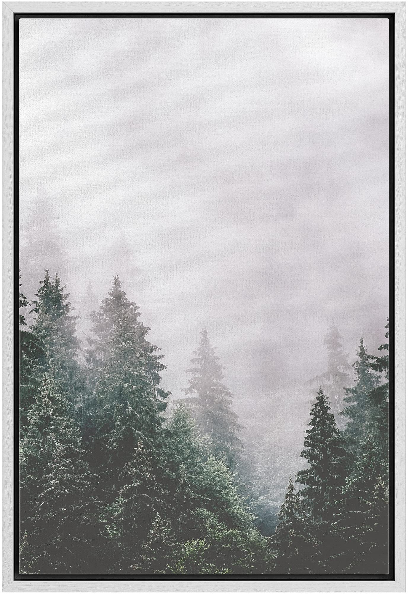 Ashbrook Framed Canvas Print Wall Art Washed Out Mist Over Forest Pine Trees Nature Wilderness Photography Modern Rustic Scenic