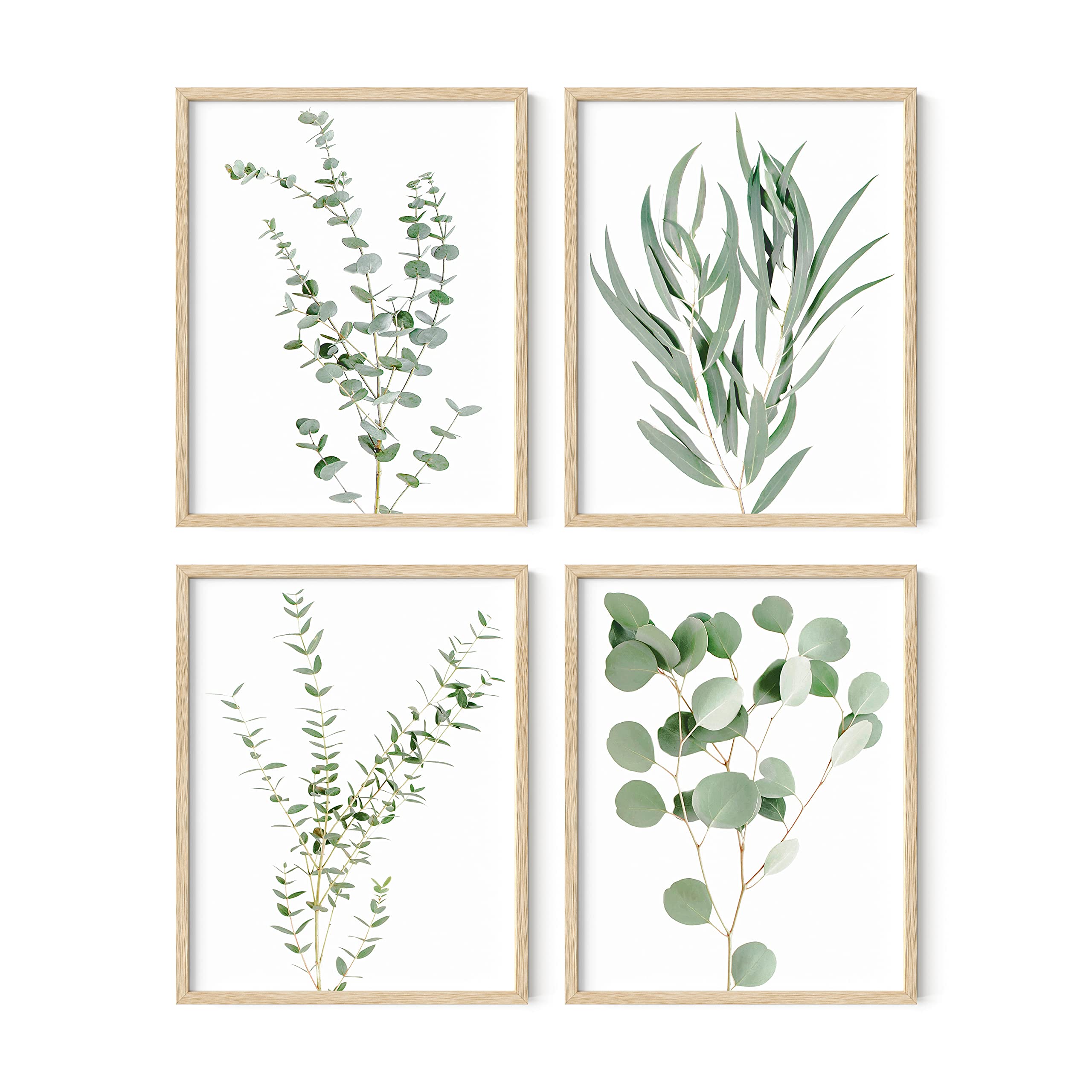 Haus And Hues Botanical Plant Wall Art Prints - Set Of 4 Plant Wall Decor Prints Floral Kitchen Flower Leaves Wall Art Boho Leaf