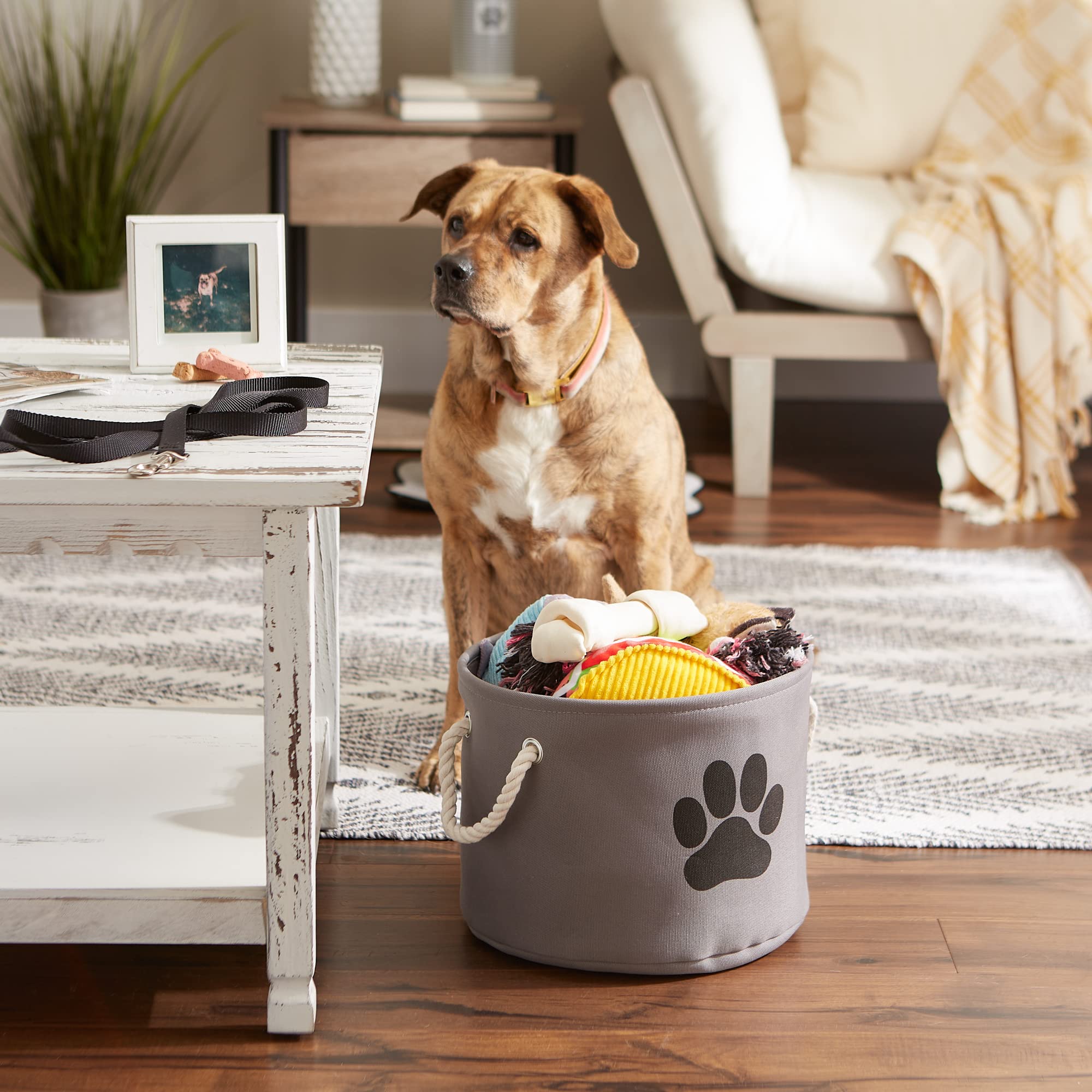 Bone Dry Collapsible Bin  Small Round  Gray