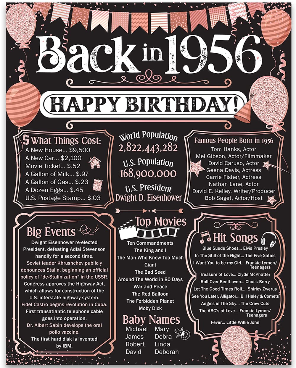 69th Birthday Party Decorations for 69th Birthday (Sixty-nine) - Remembering The Year 1956 - Party Supplies - Gifts for Men and 