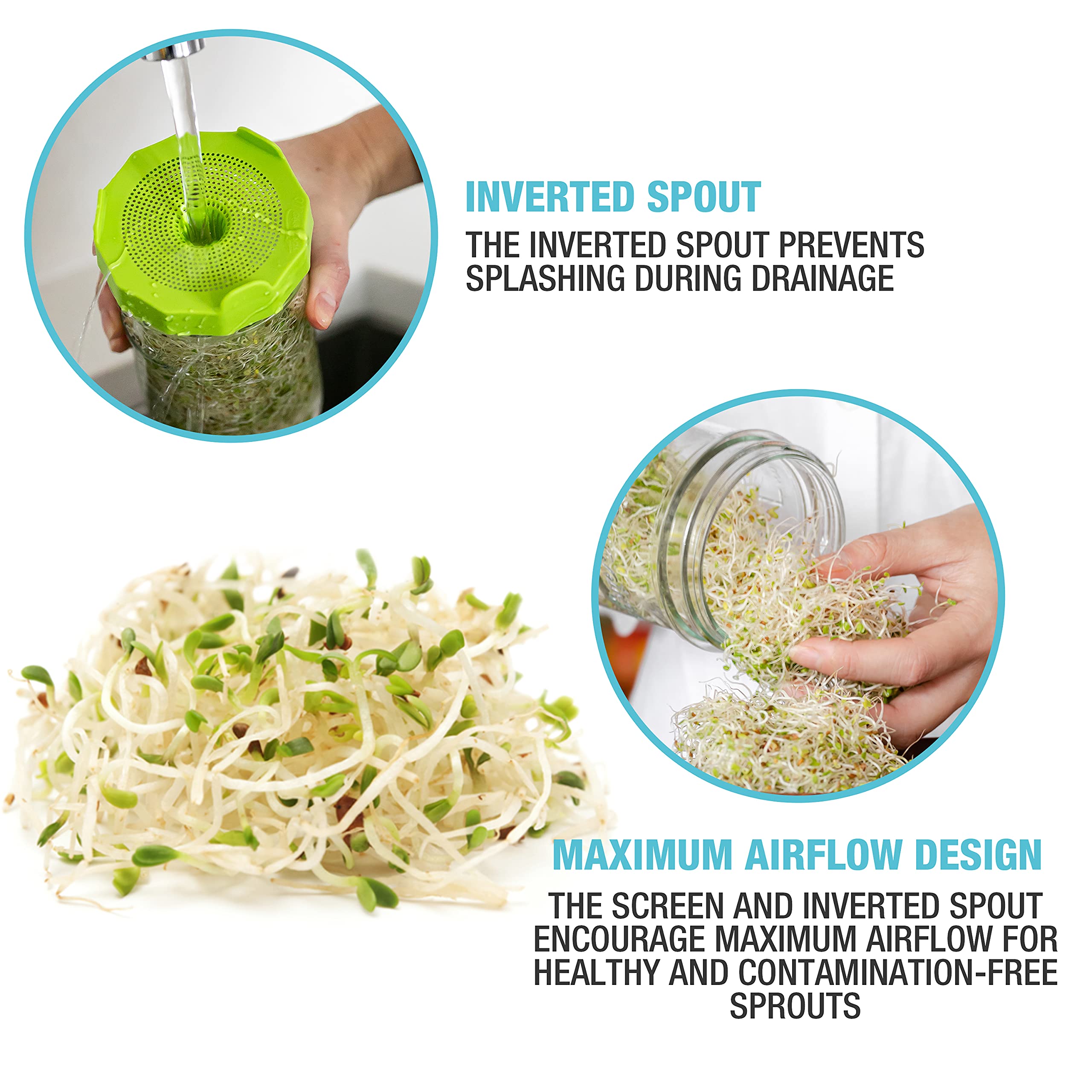 Masontops Mason Jar Bean Sprouting Jar Starter Set - Easy Diy Bean Sprout Kit With Organic Seeds, Sprouting Lids, Complete Bean