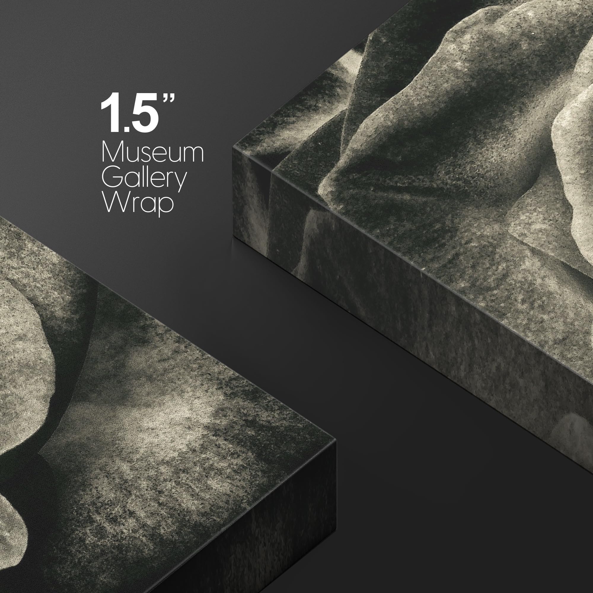 Wall26 Canvas Print Wall Art Elegant Monochrome Rose Timeless Floral Nature Wilderness Photography Modern Art Decorative Country