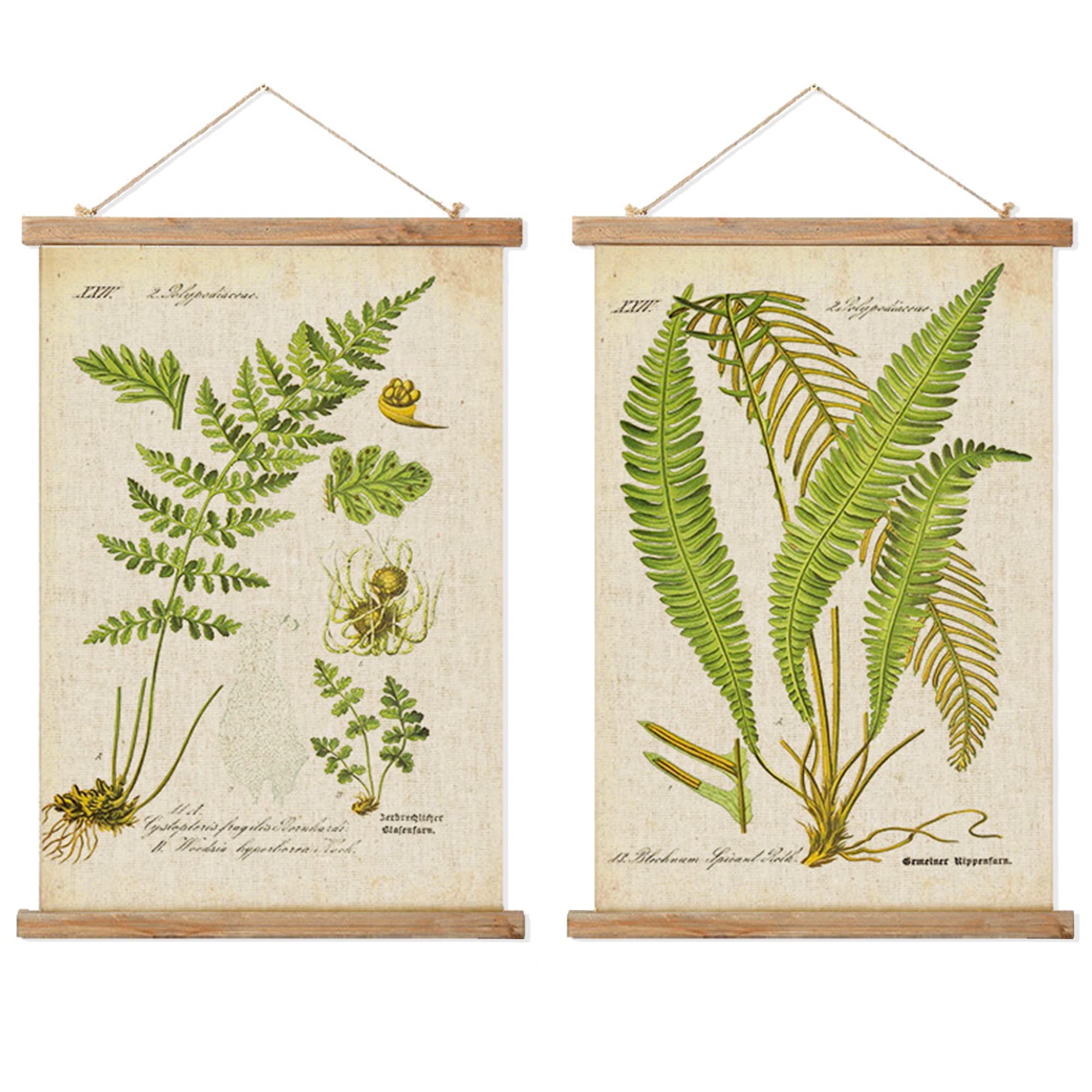 2 Pack Vintage Ferns Poster Hanger Frame, Retro Style Wall Art Prints, Printed On Linen With Natural Wooden Frames, For Living R