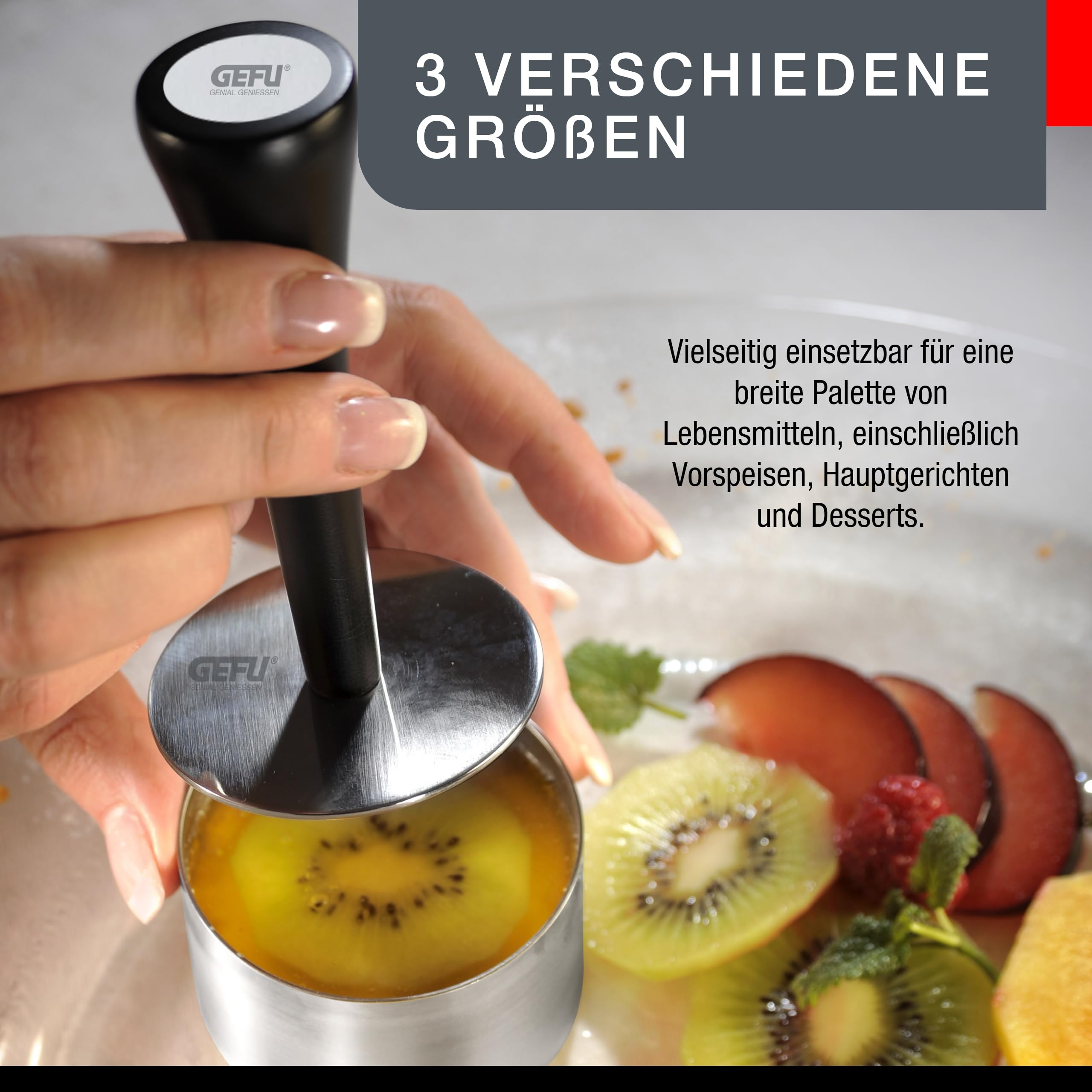 Gefu Professional Dish Prepping/Plating/Forming Ring Set/10 Pieces/Formidable