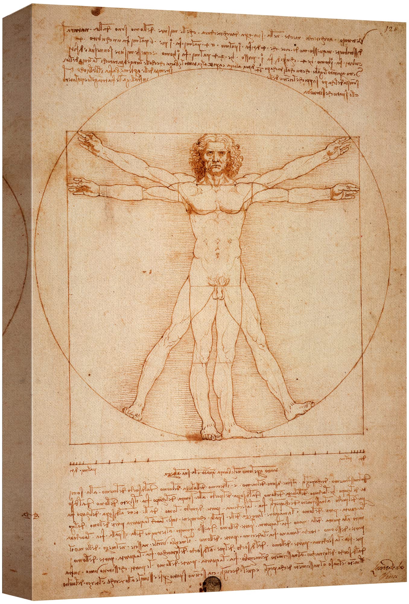 Wall26 Vitruvian Man By Leonardo Da Vinci Giclee Canvas Prints Wrapped Gallery Wall Art | Stretched And Ready To Hang - 24'' X 3