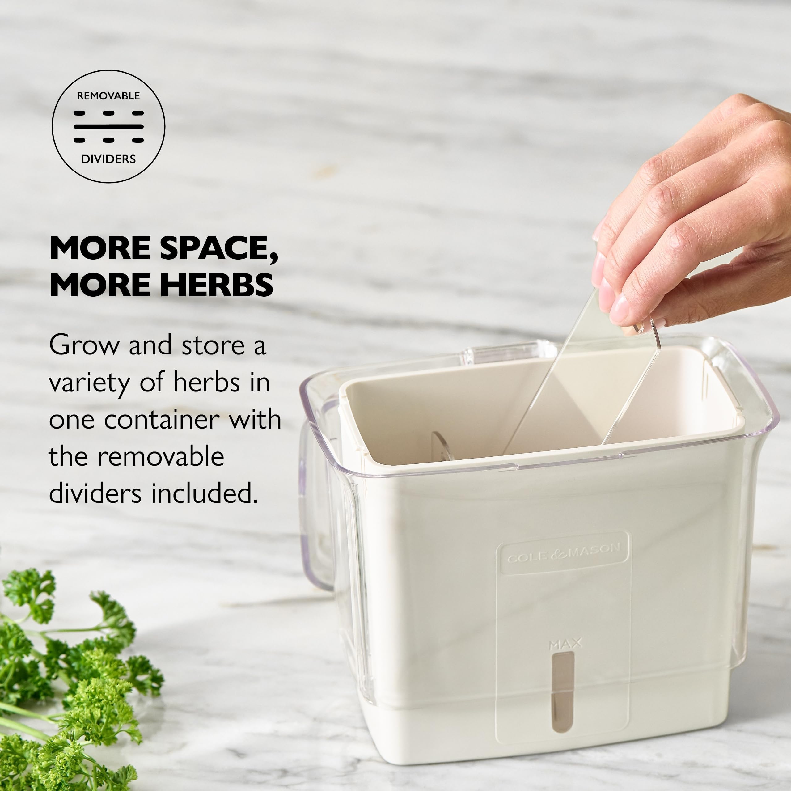 Cole & Mason Fresh Herb Keeper, Container, Clear
