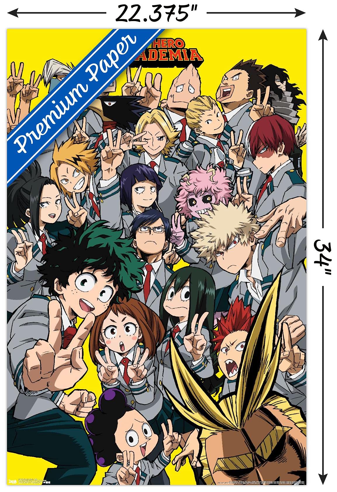 Trends International My Hero Academia - Selfie Wall Poster, 22.375'' X 34'', Premium Poster & Mount Bundle