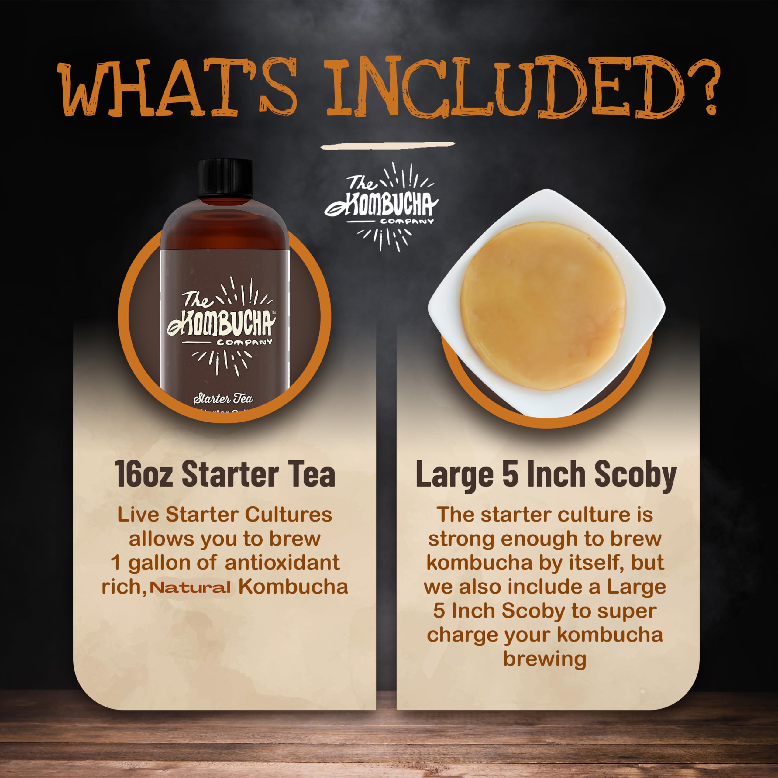 The Kombucha Company Large Kombucha Scoby & 16oz Bottle of Starter Tea l Makes One Gallon  Brew Organic Kombucha from Home  Made From Purified Rainwater