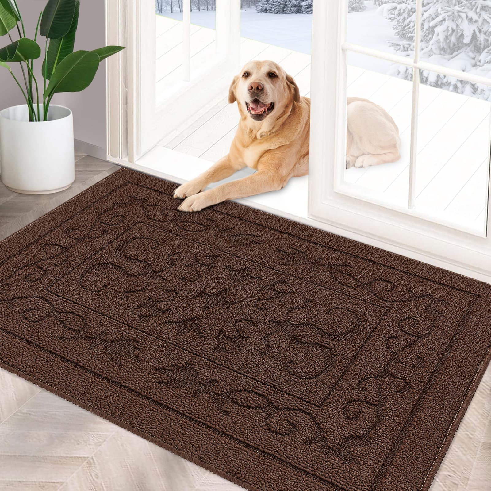 Foneyi Indoor Doormat, Front Back Door Mat 24''X36'' Washable, Rubber Backing Non Slip Door Mats, Low-Profile Absorbent Entrance
