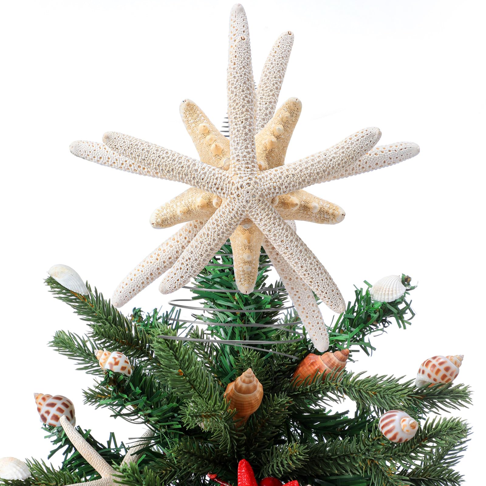 Demissle Natural Starfish Tree Topper Beach Christmas Tree Topper 6 Inch Starfish Treetop Decoration Coastal Christmas Holiday D