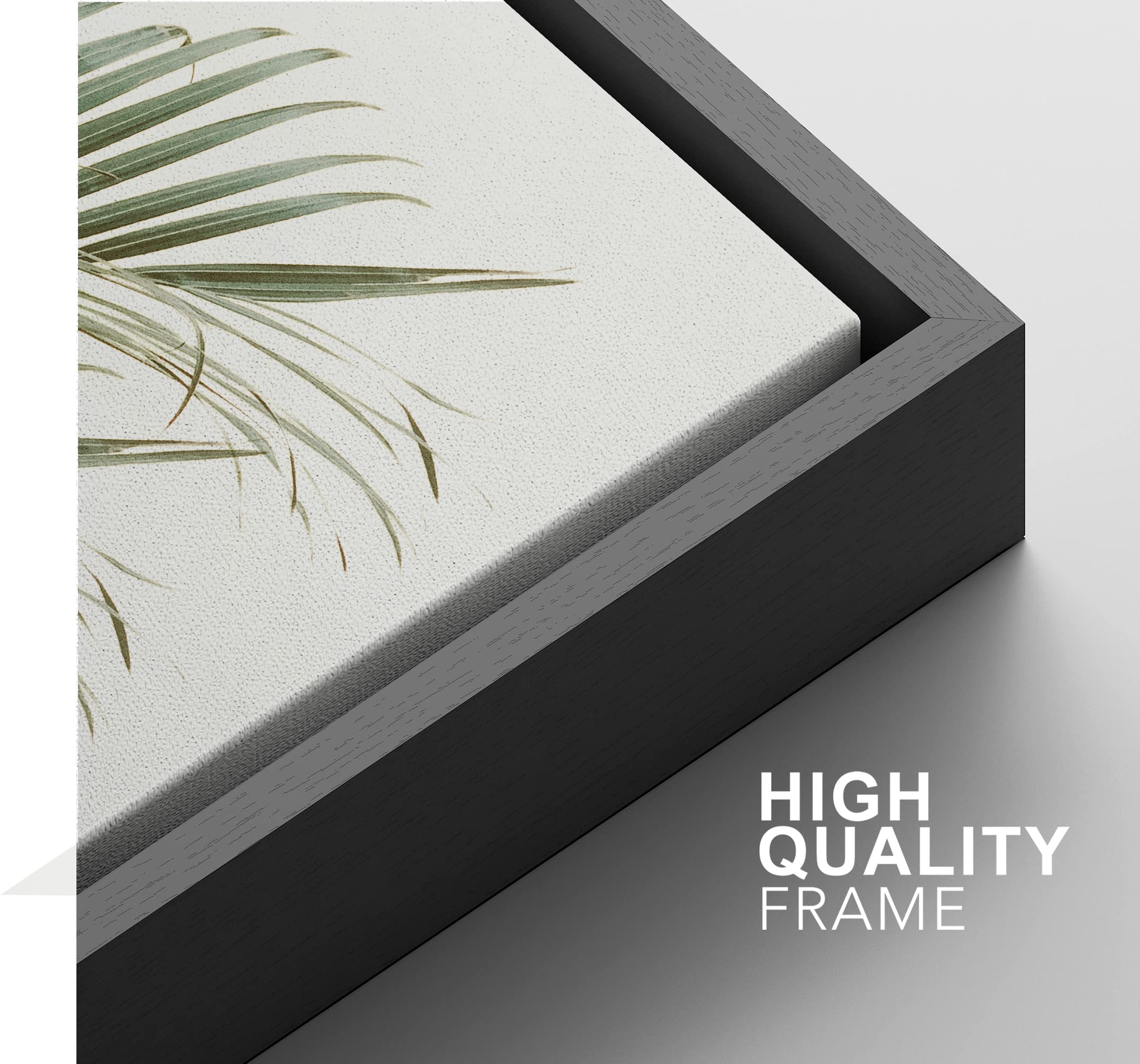 Signford Framed Canvas Print Wall Art Set Vintage Retro Tropical Jungle Plant Close-Ups Nature Wilderness Photography Minimal Sc