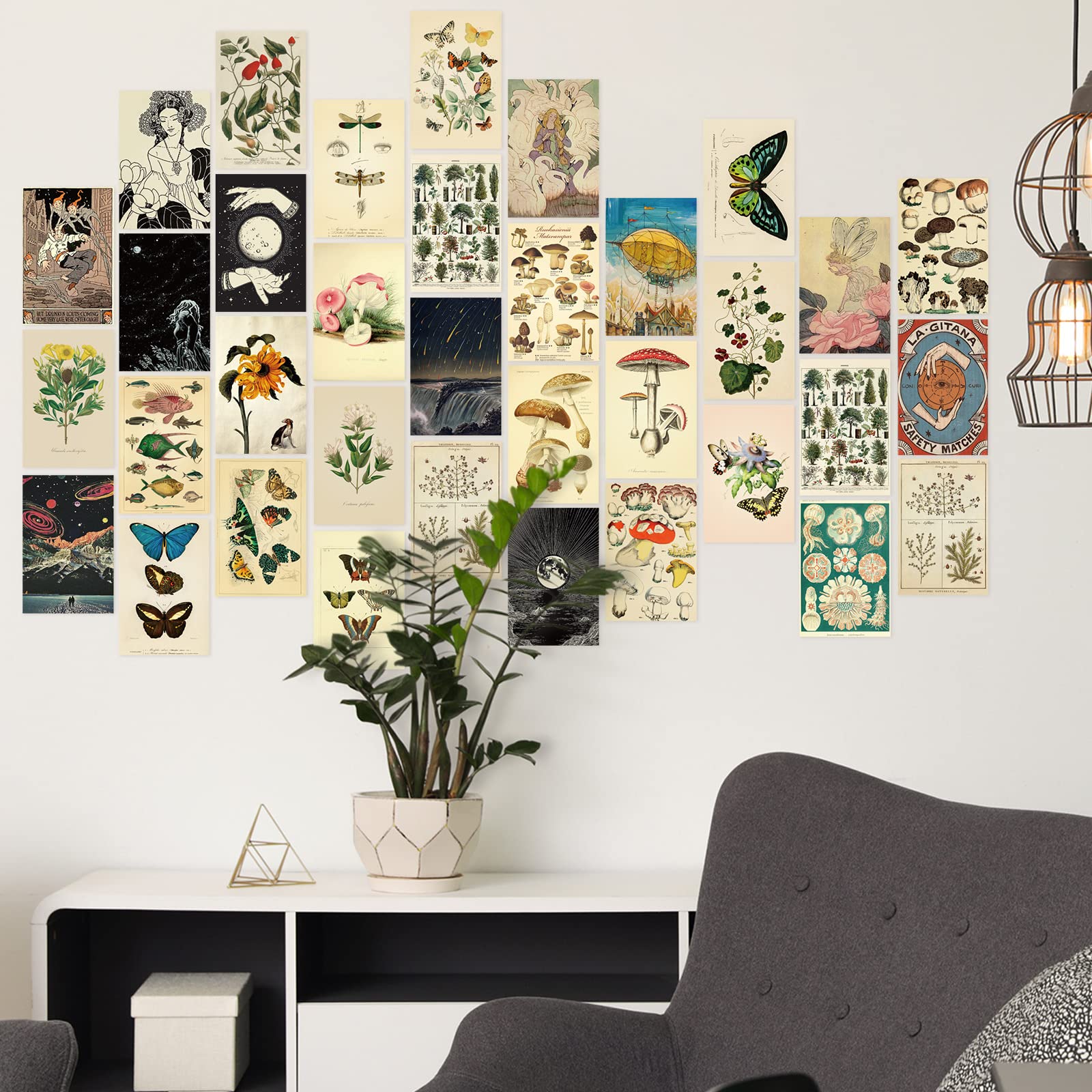 Containlol 60 Pcs Vintage Wall Collage Kit Botanical Illustration Tarot Aesthetic Print Vintage Wall Prints Vintage Cards Photo