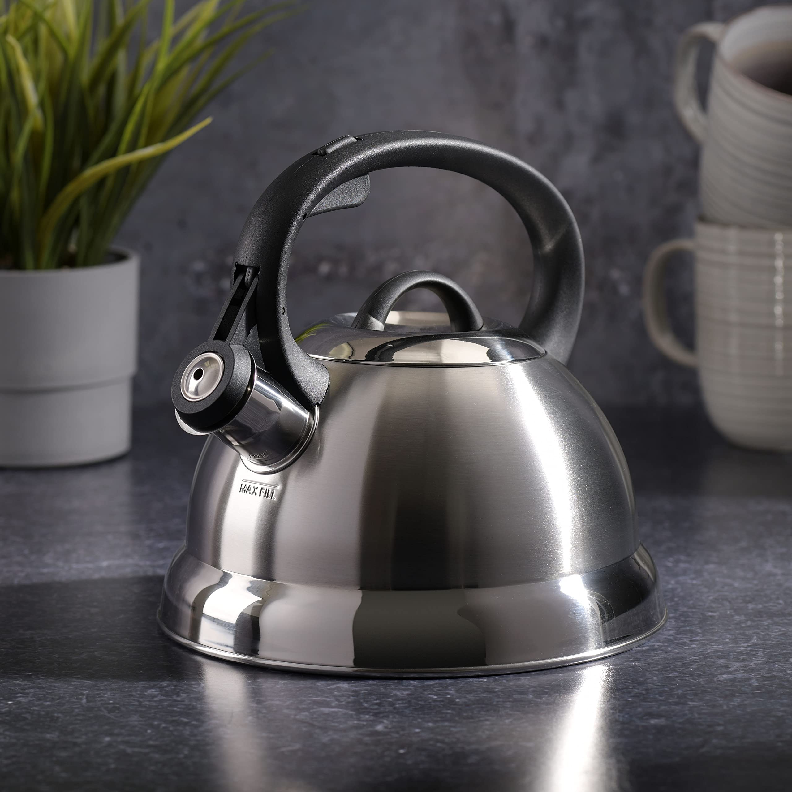 Mr. Coffee Flintshire Stainless Steel Whistling Tea Kettle, 1.75-Quart, Brushed Satin