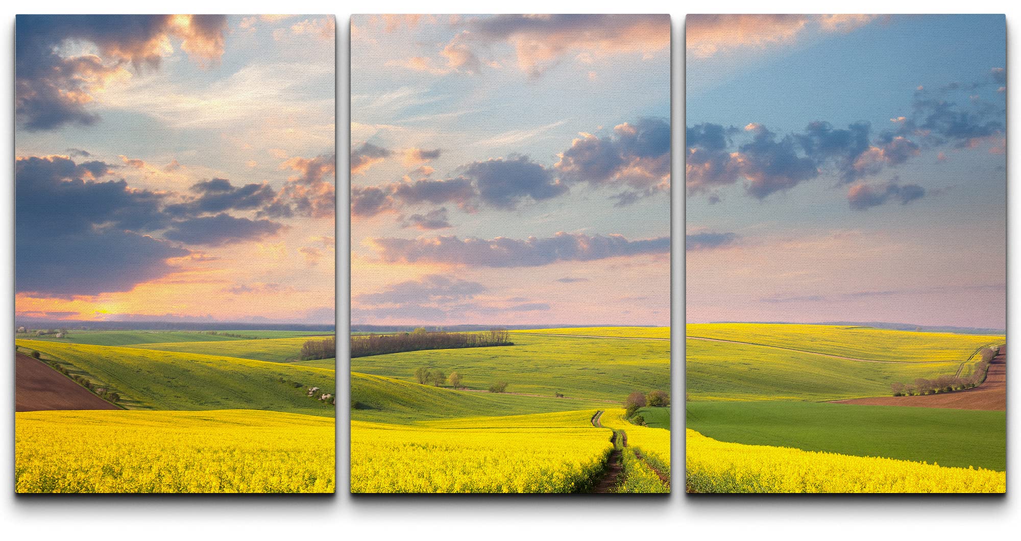 Wall26 Canvas Print Wall Art Set Yellow Flower Fields In Spring Valley Nature Wilderness Photography Realism Rustic Landscape Co