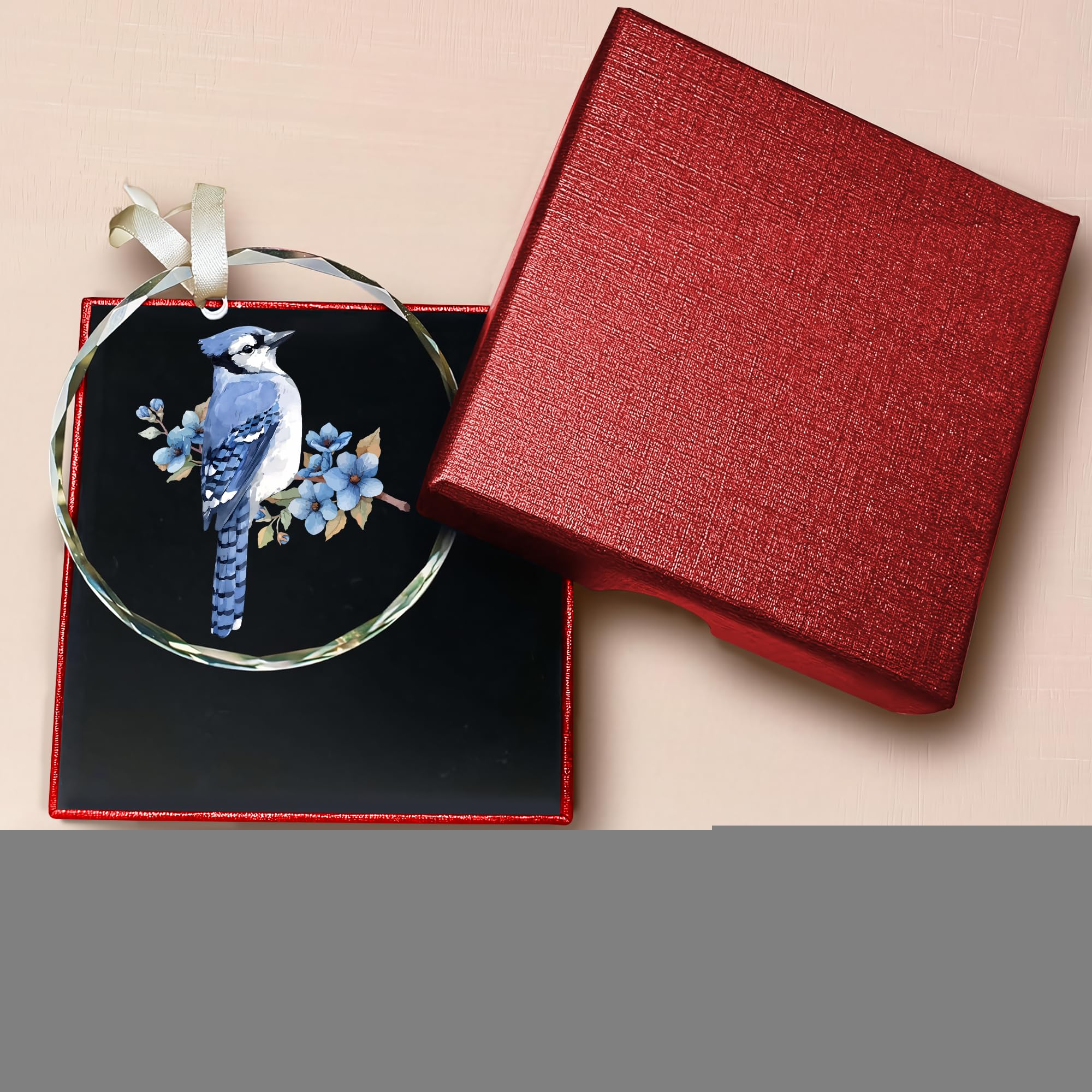 MALFIRST Nurse Ornament - Nursing Christmas Ornament, New Nurse Gift, Graduation Gifts for Nurses 2025, RN BSN Milestone Keepsak