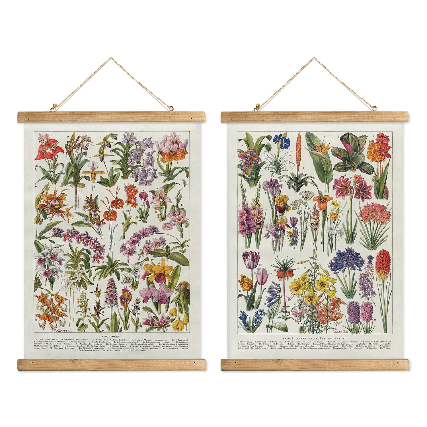 Xiaoaika Botanical Floral Wall Art Prints - Set Of 2, Antique Flower Illustration Posters With Wooden Hanging Frames, Vintage Ga