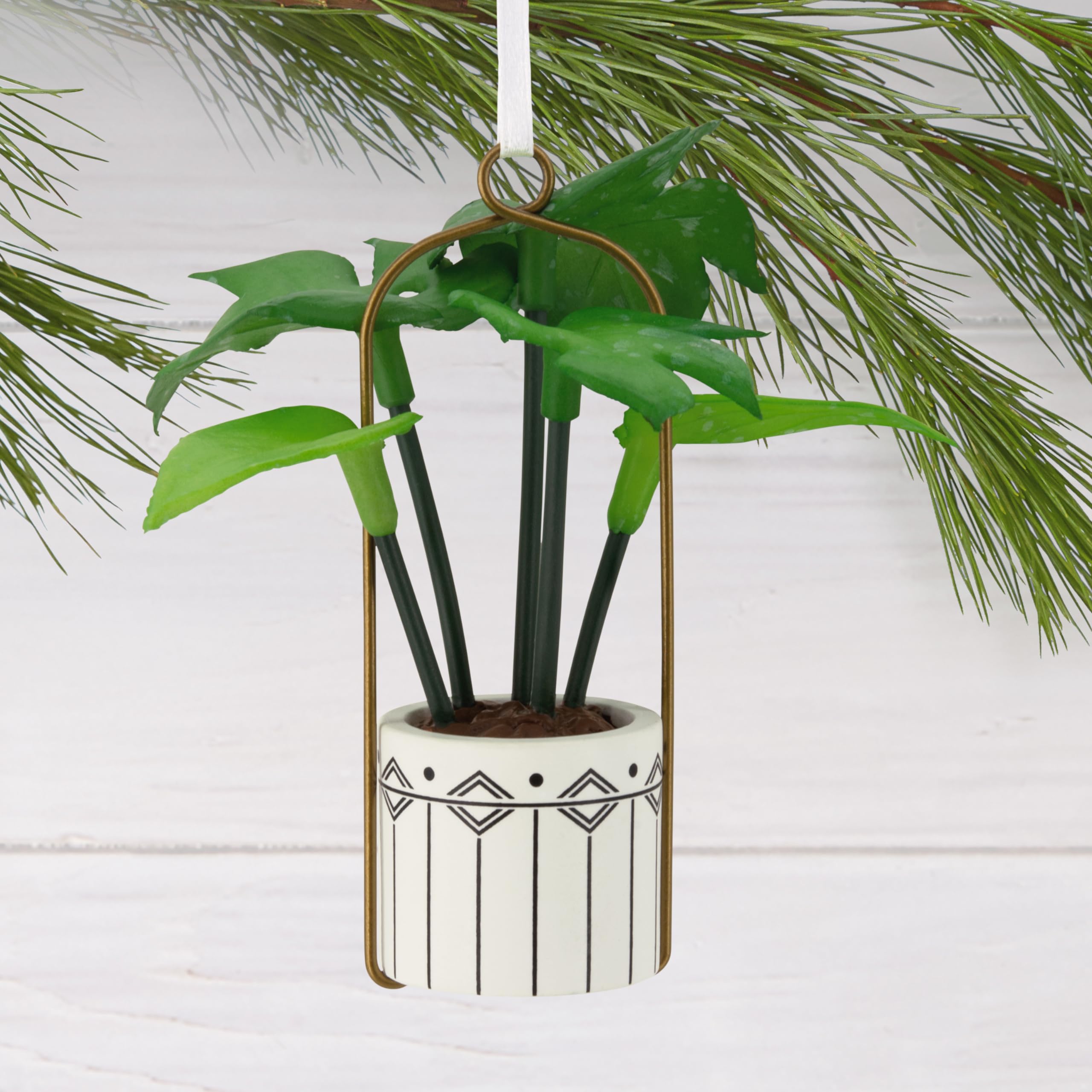 Hallmark Hanging Houseplant Christmas Ornament
