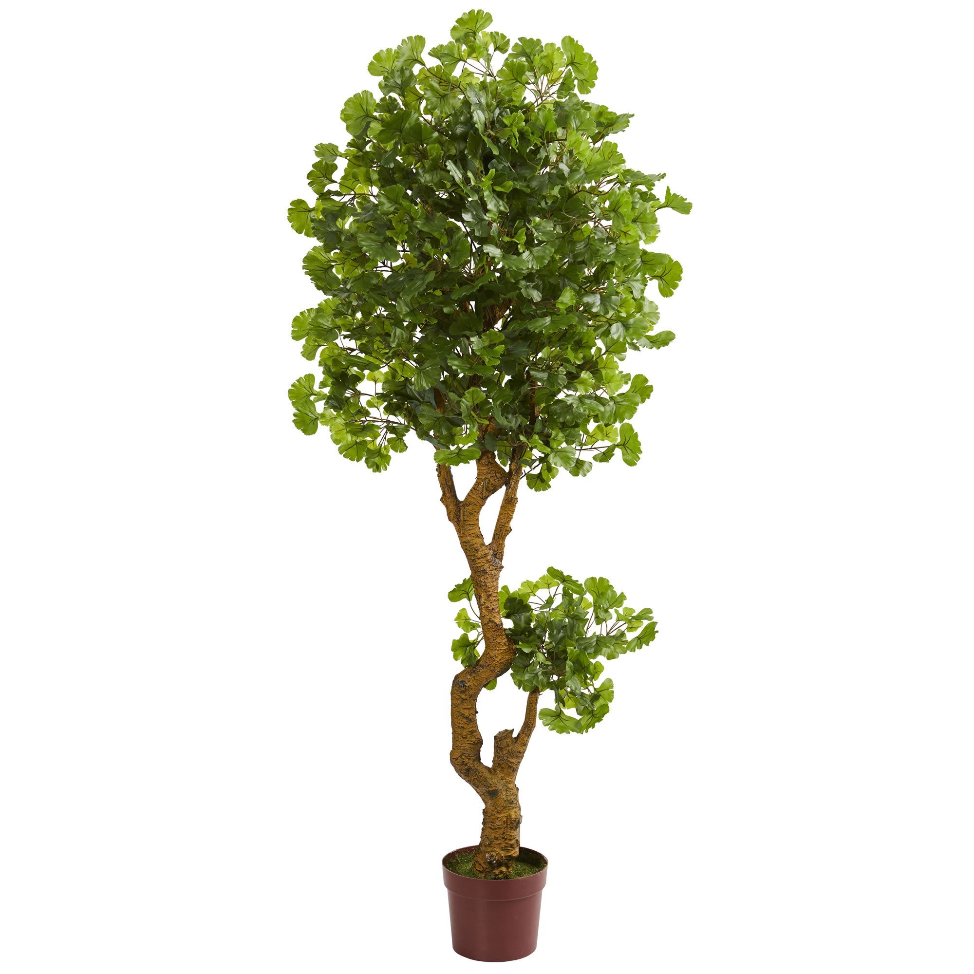 Nearly Natural 6ft. Jingo Artificial Tree, UV Resistant (Indoor/Outdoor)