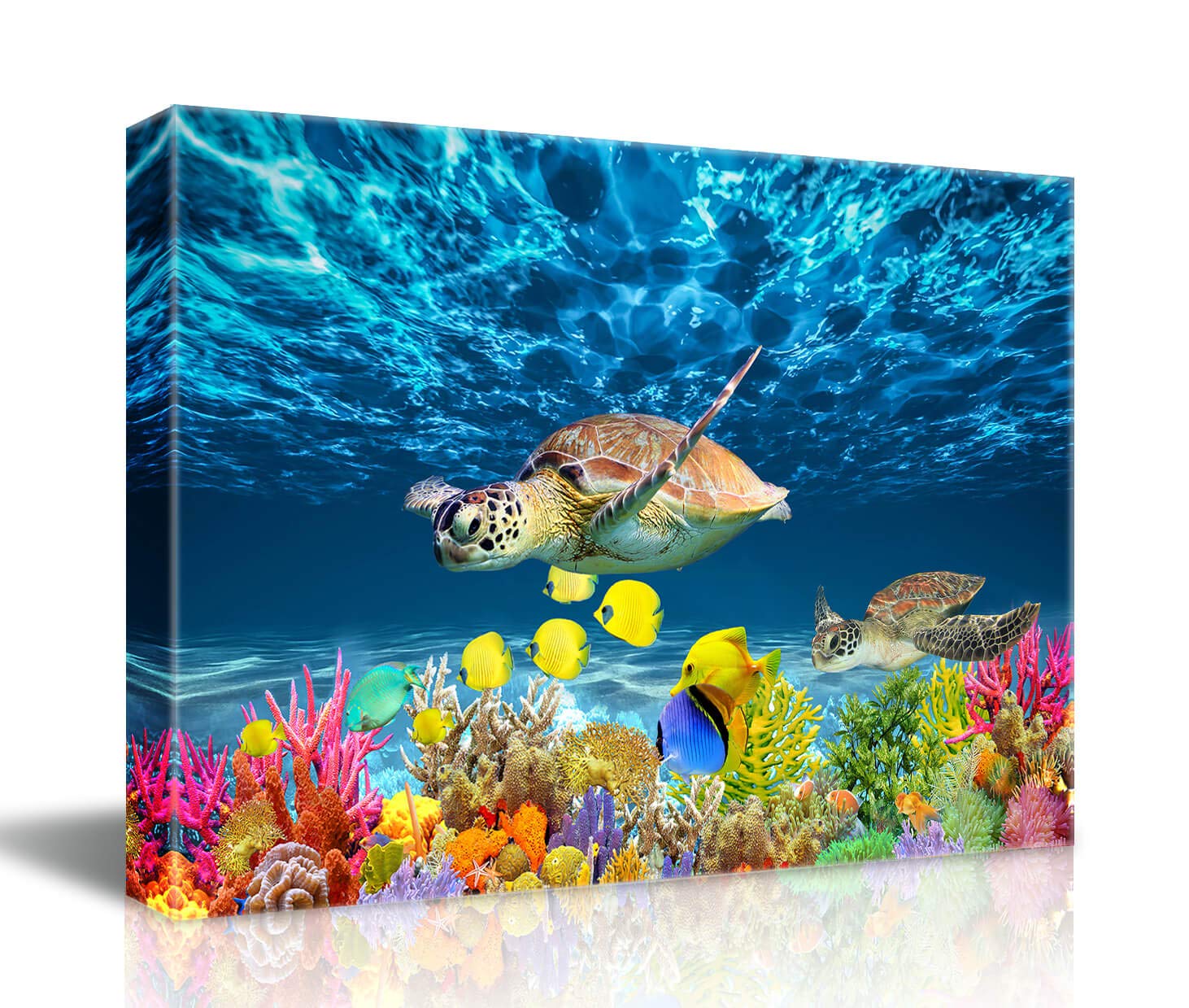 Bathroom Canvas Wall Art Kitchen Wall Decoration Modern Sea Turtle Wall Decor For Dining Room Colorful Fish Coral Beach Theme Pi