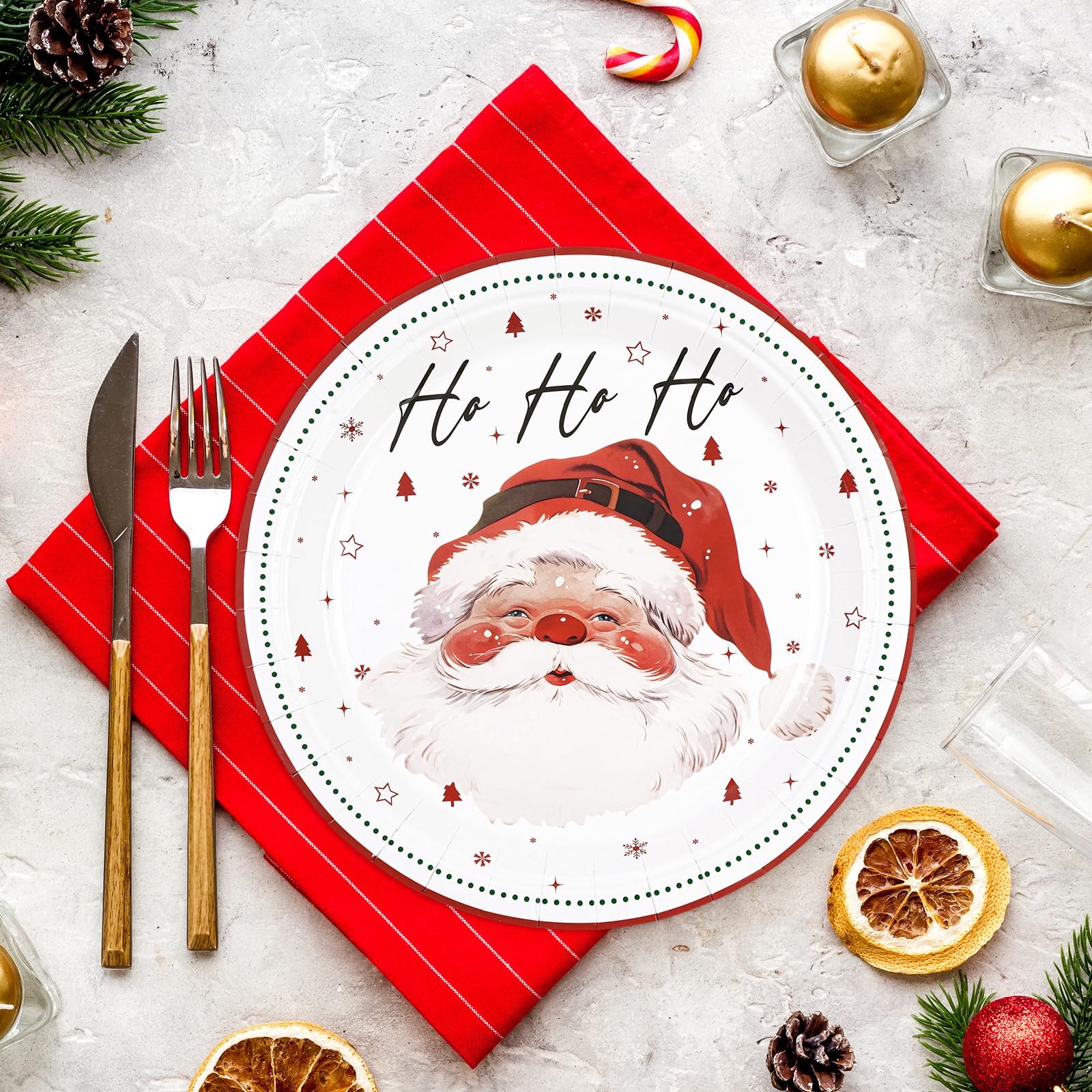 HFBOBP Christmas Paper Plates Set - 48 Pcs, 9 Inch, Disposable, Santa & Snowman Design, Holiday Party Decorations